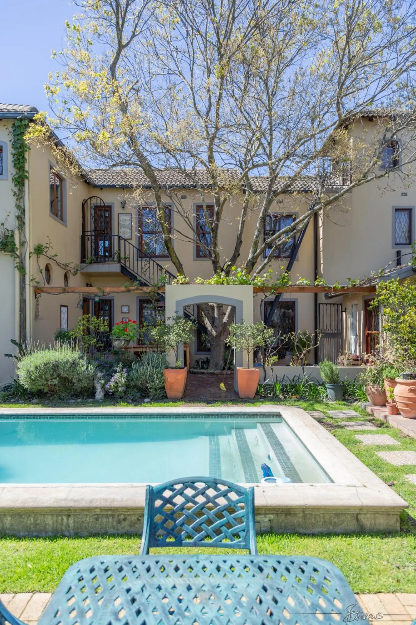 Garden in 10 Alexander B&B