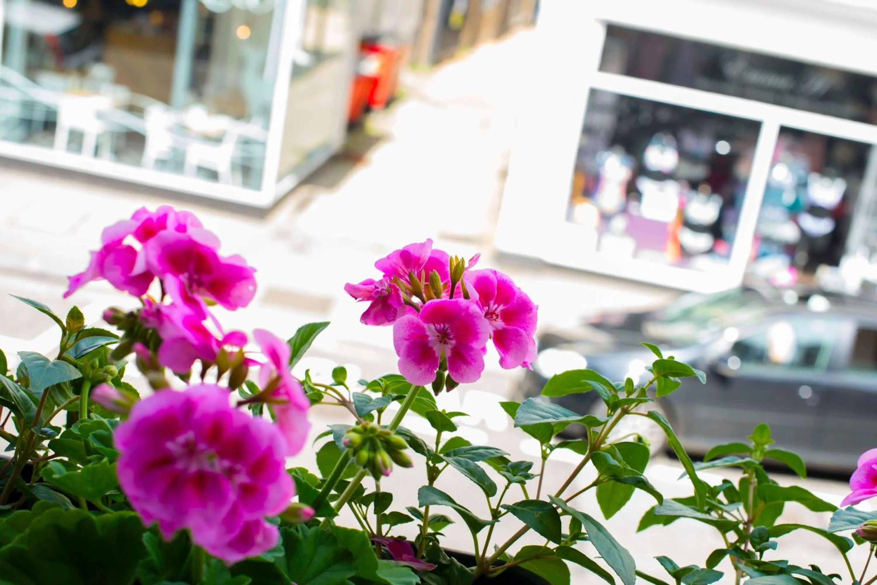 Decorative detail in Dog and Whistle Pub