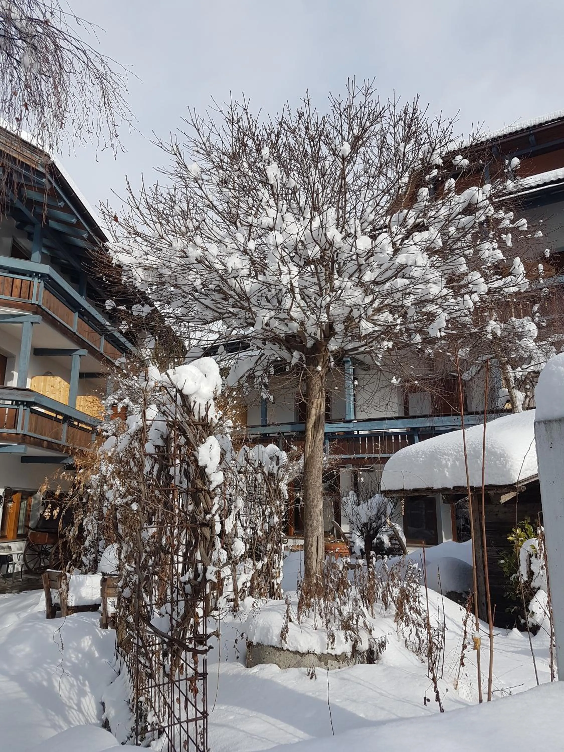 Garden view in Hotel Mühlenerhof