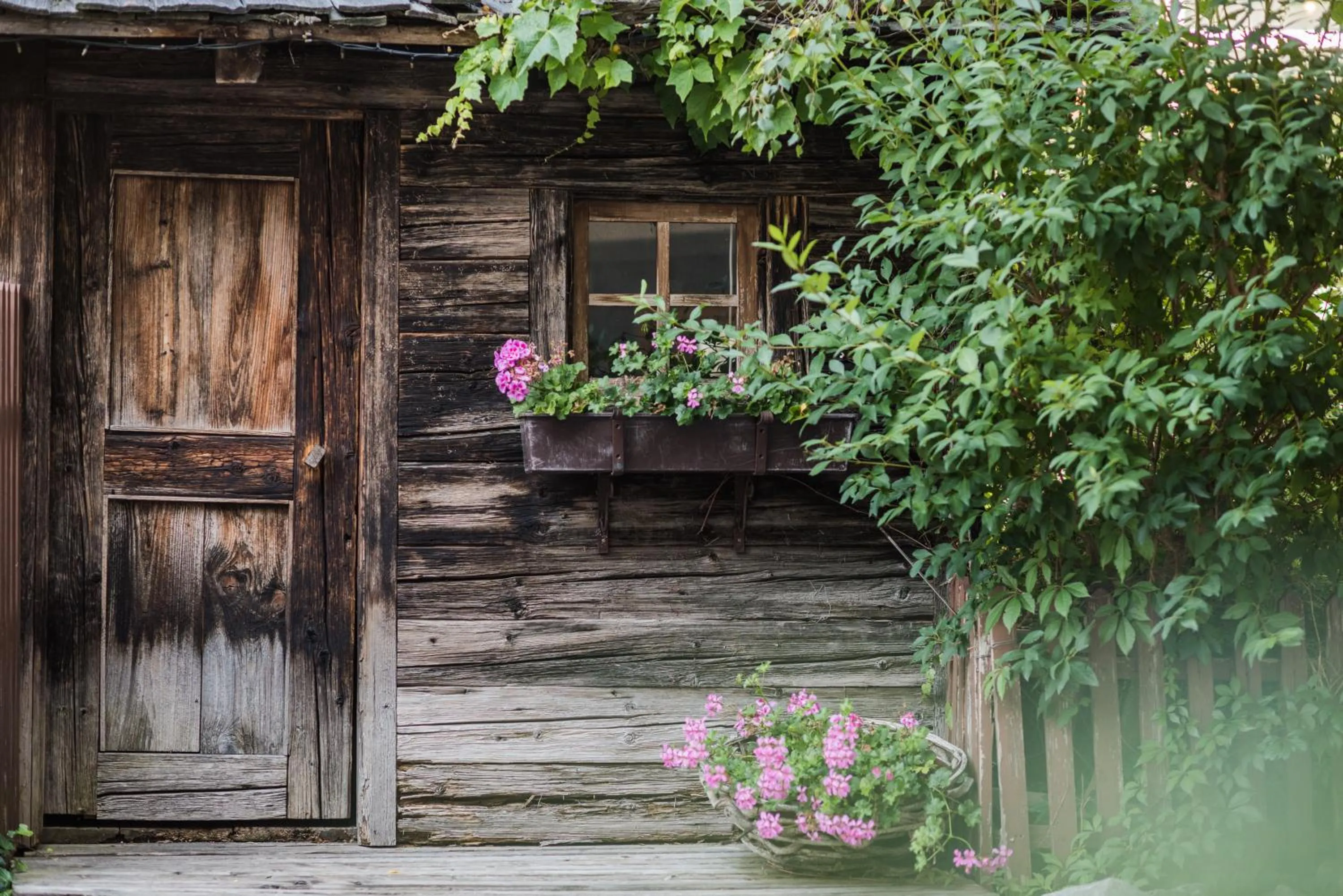 Patio in Hotel Mühlenerhof