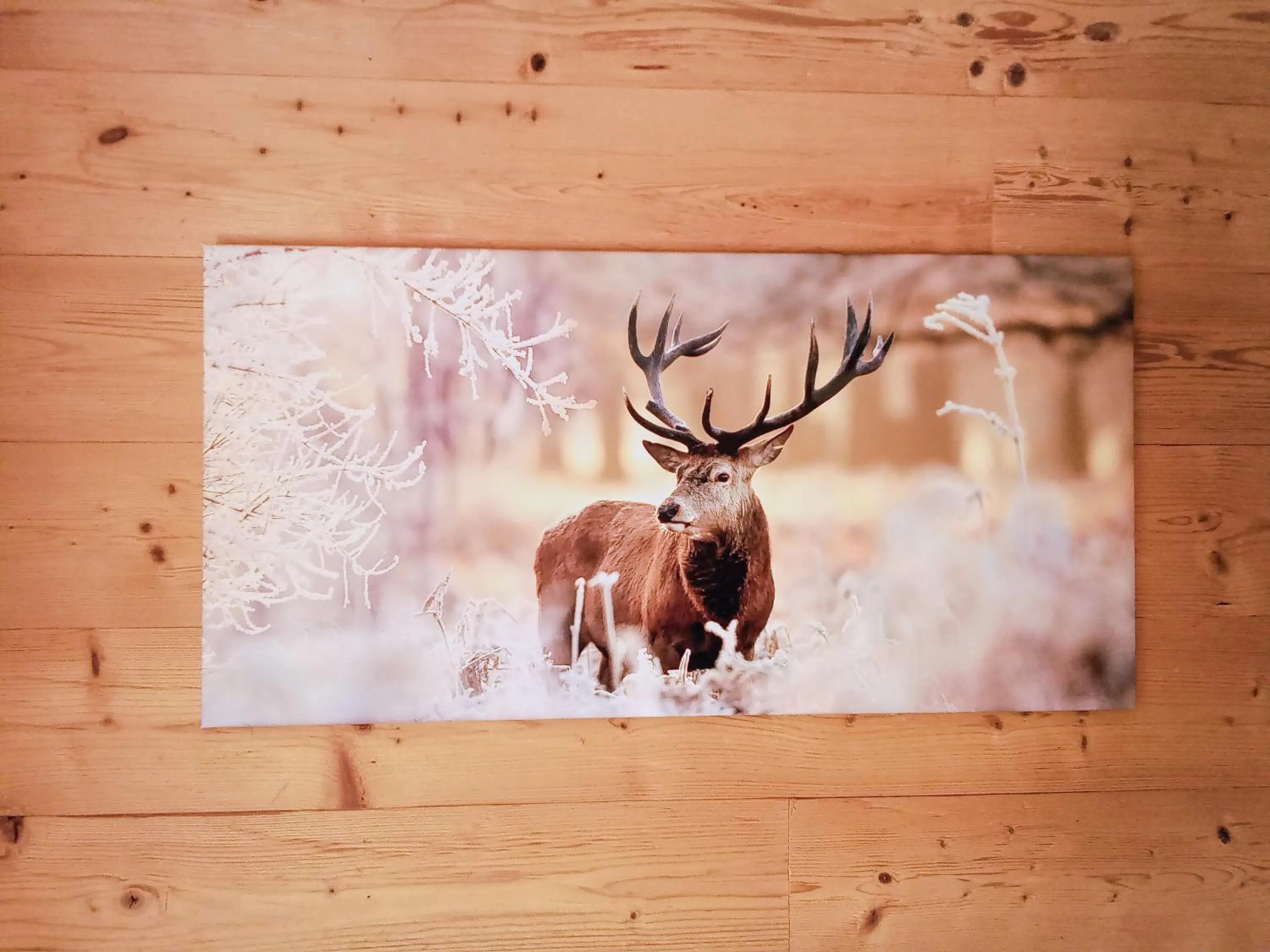 L' Auberge du château