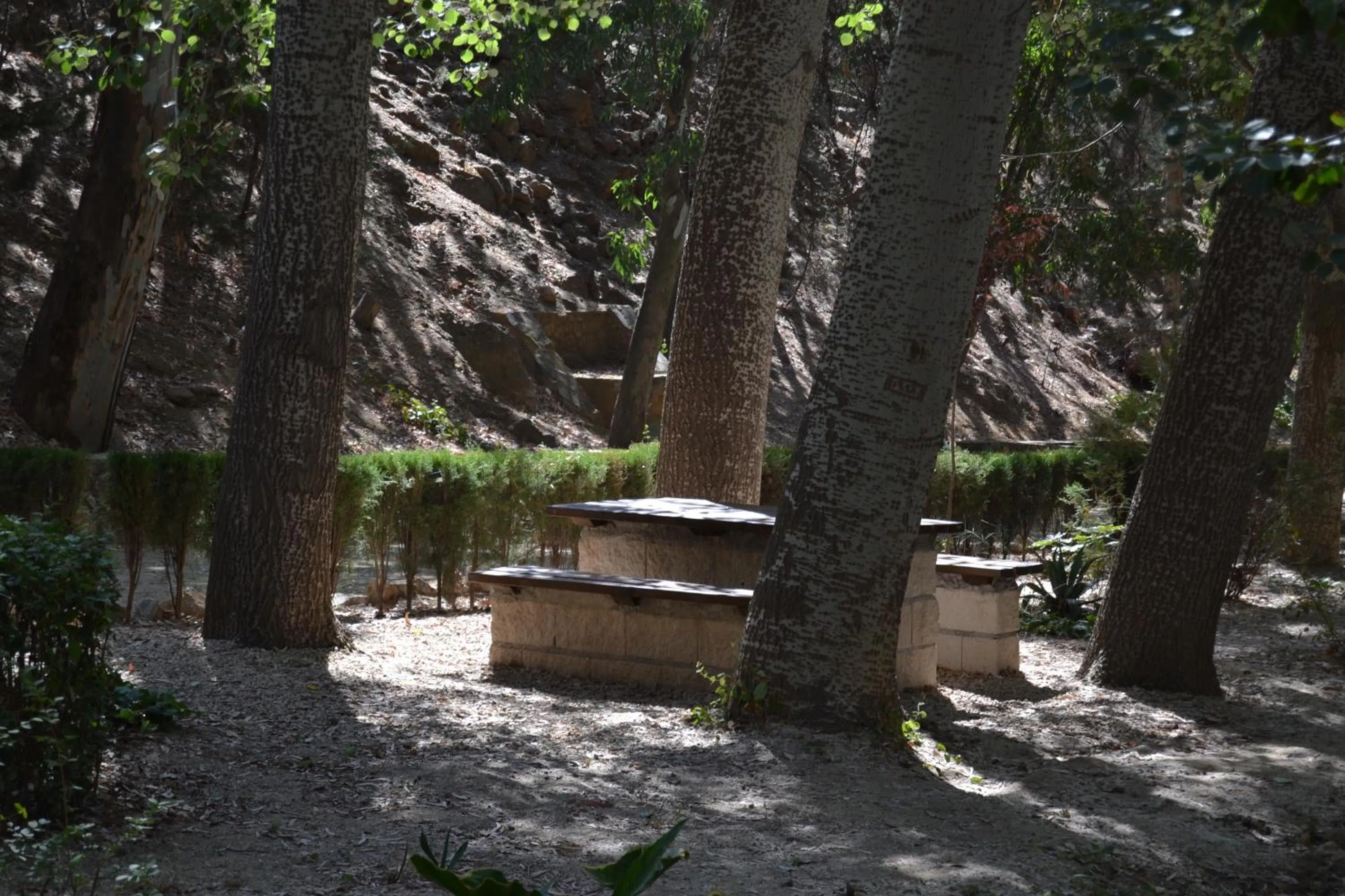 Day in Hotel Central