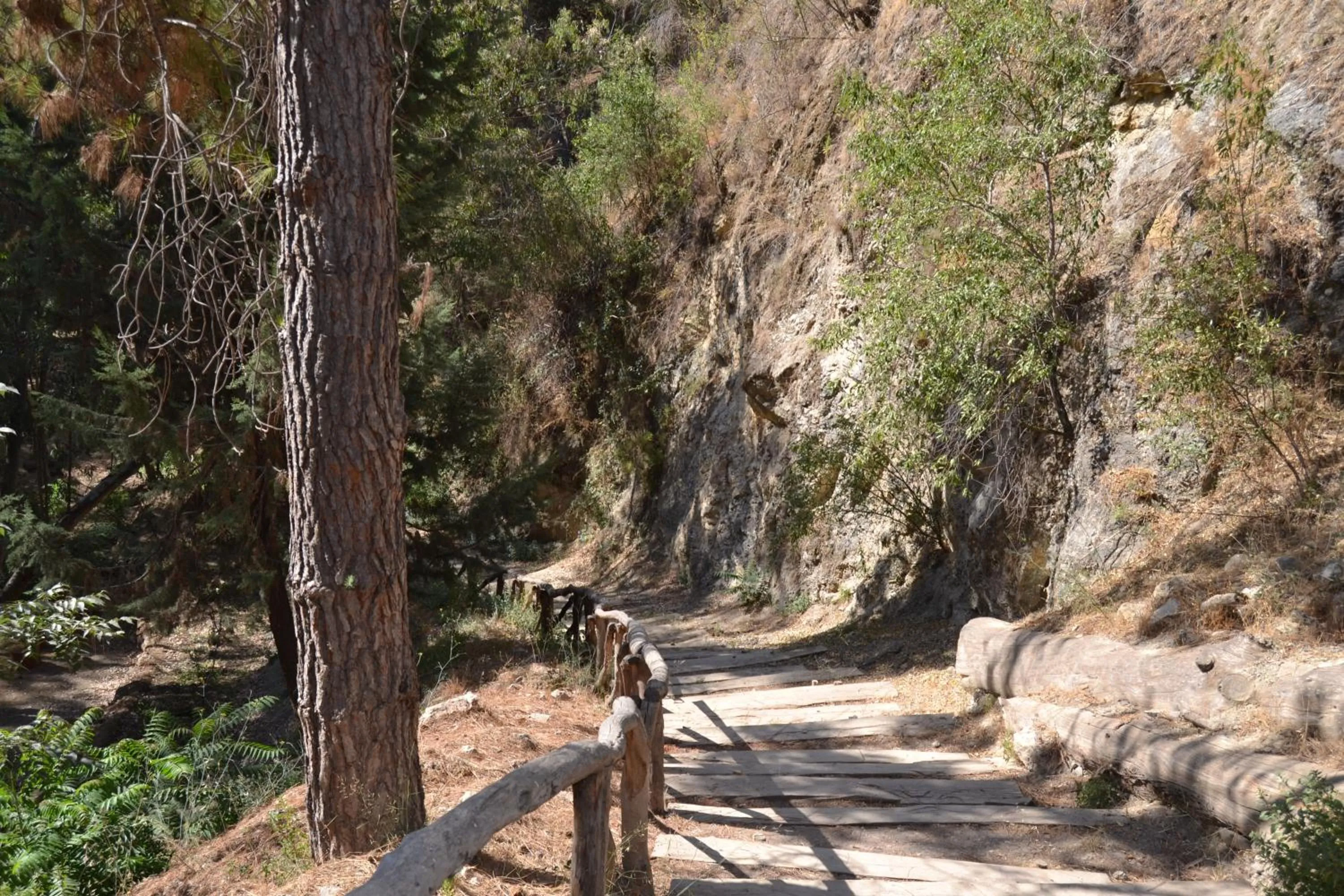 Day in Hotel Central