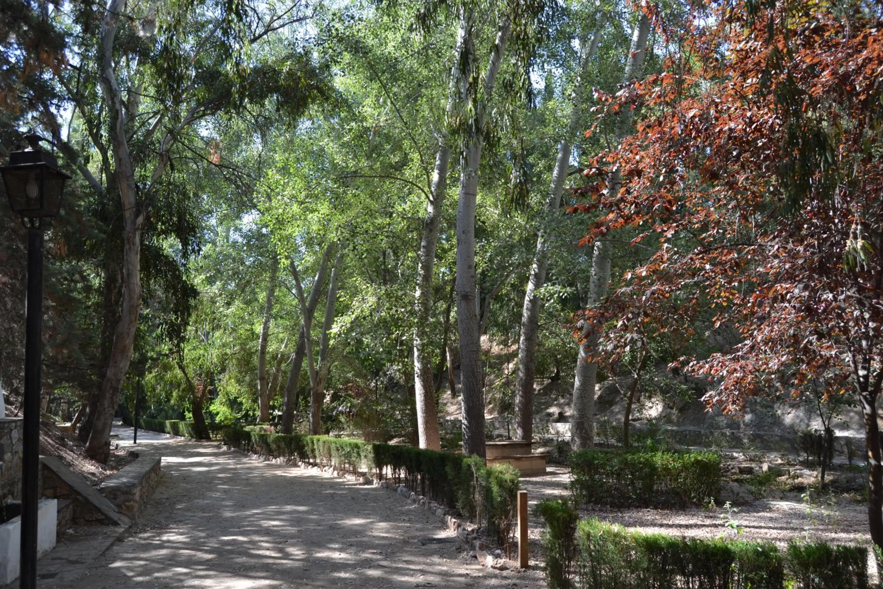 Day in Hotel Central