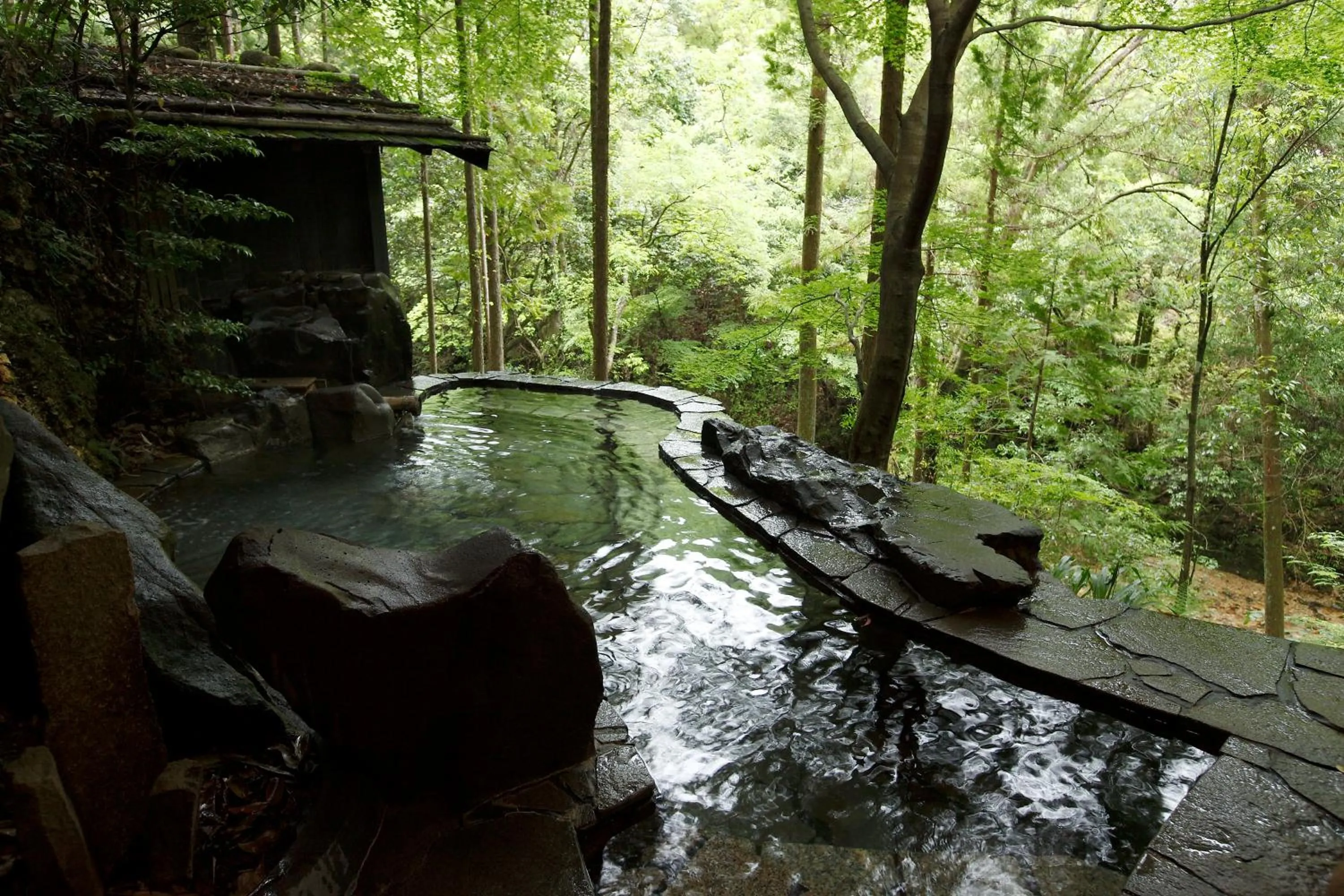 Garden in Hazu Gassyo