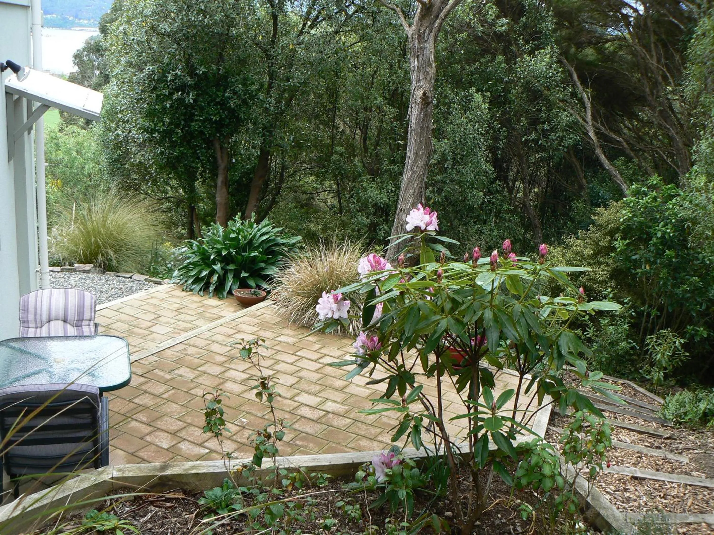 Balcony/Terrace in Treetops B&B