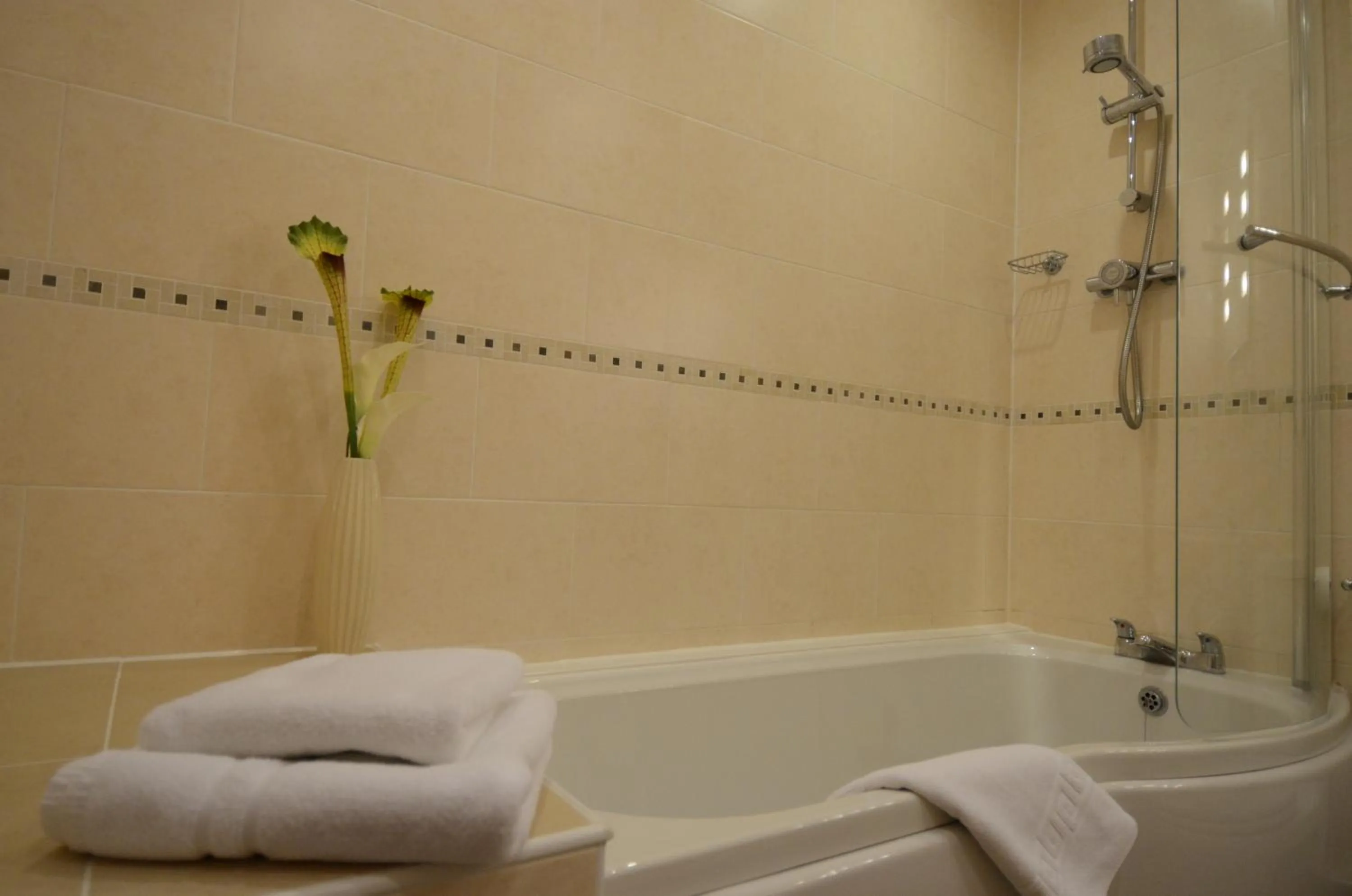 Shower in Bell Country Inn