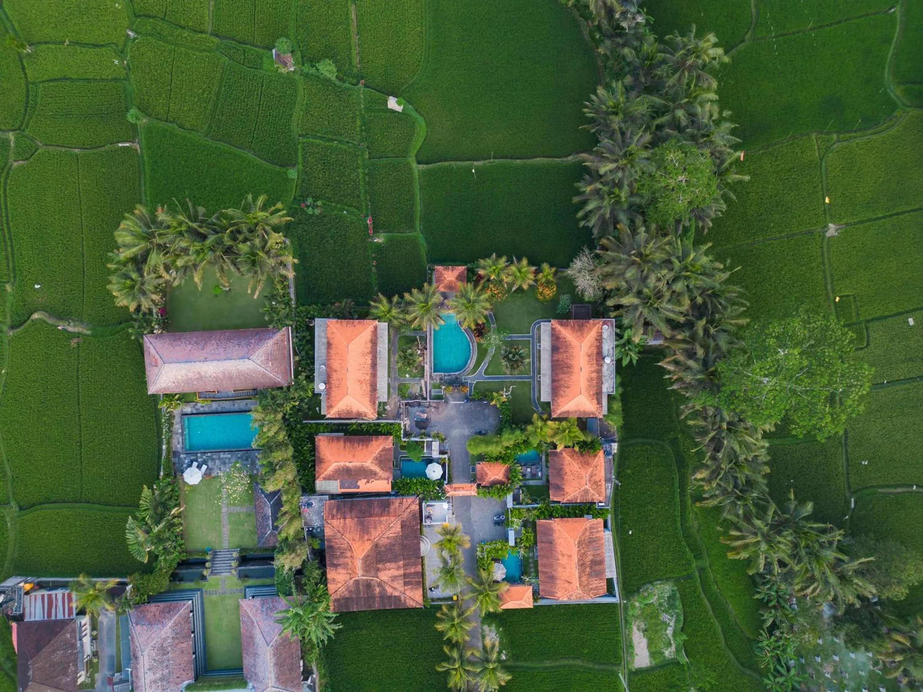 Bird's eye view in Meng Bengil Villa