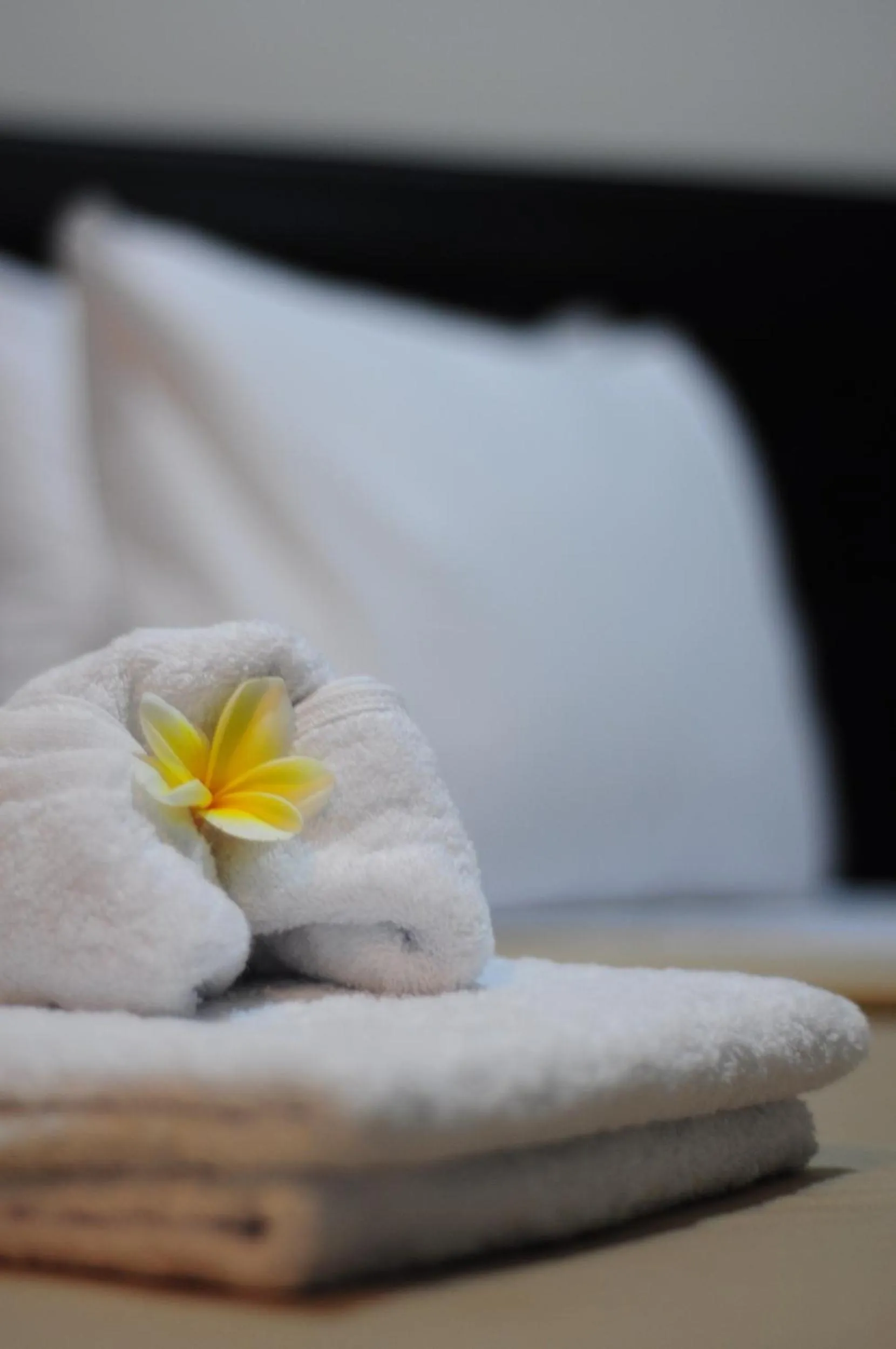 Other, Bed in Amerta Home Stay Bali