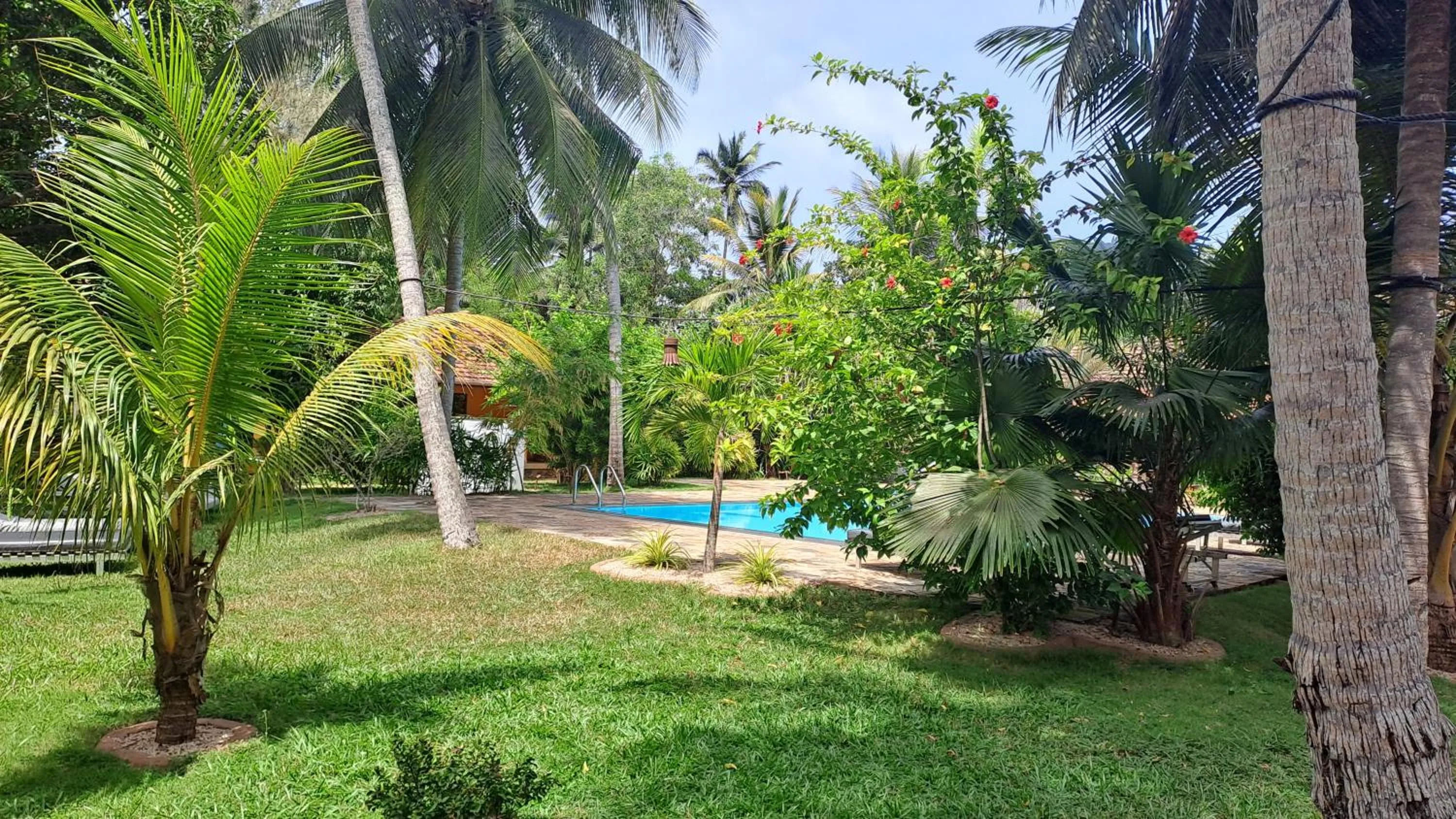 Garden in Puetz Travels Beach Resort