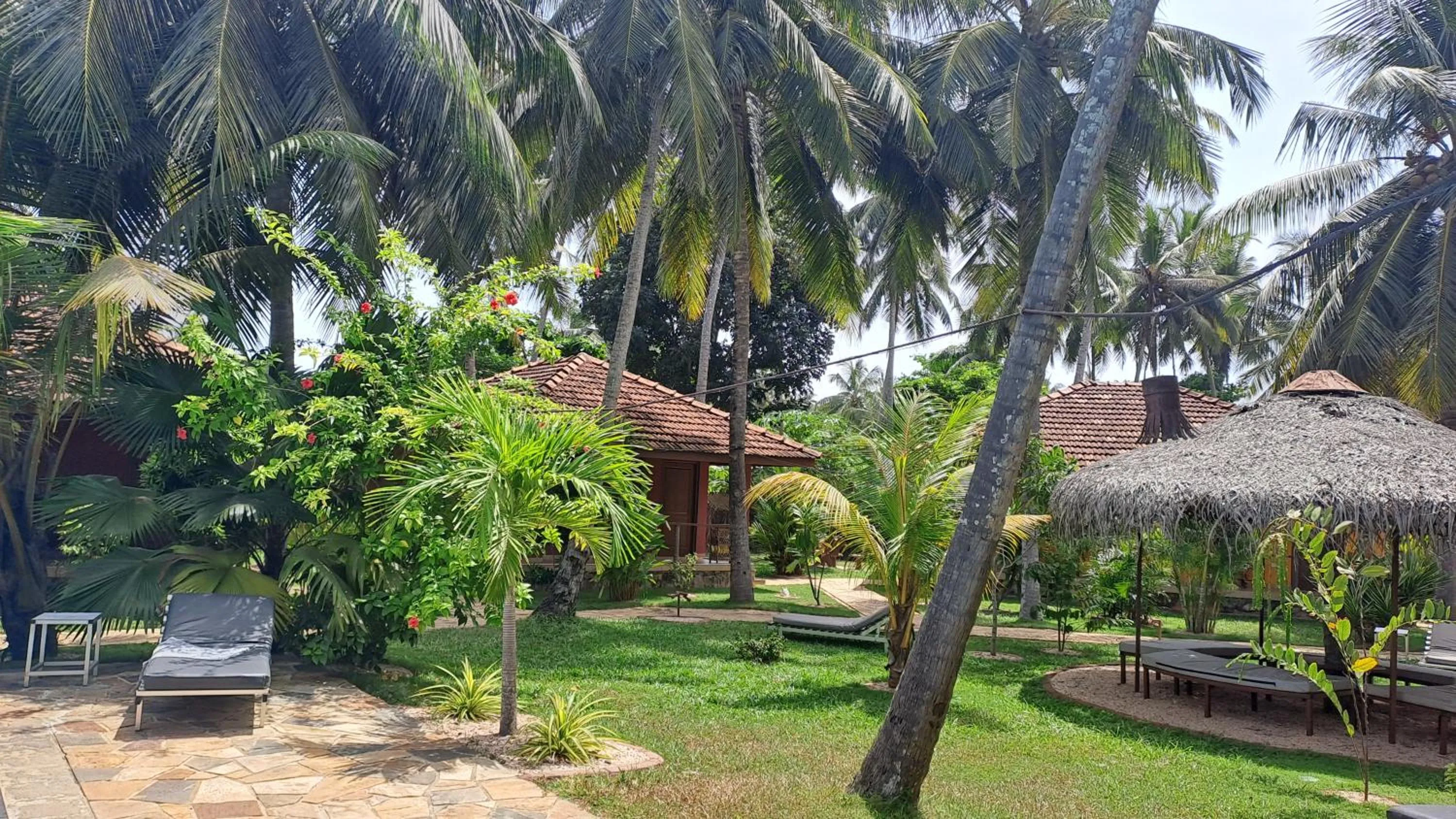 Garden view in Puetz Travels Beach Resort