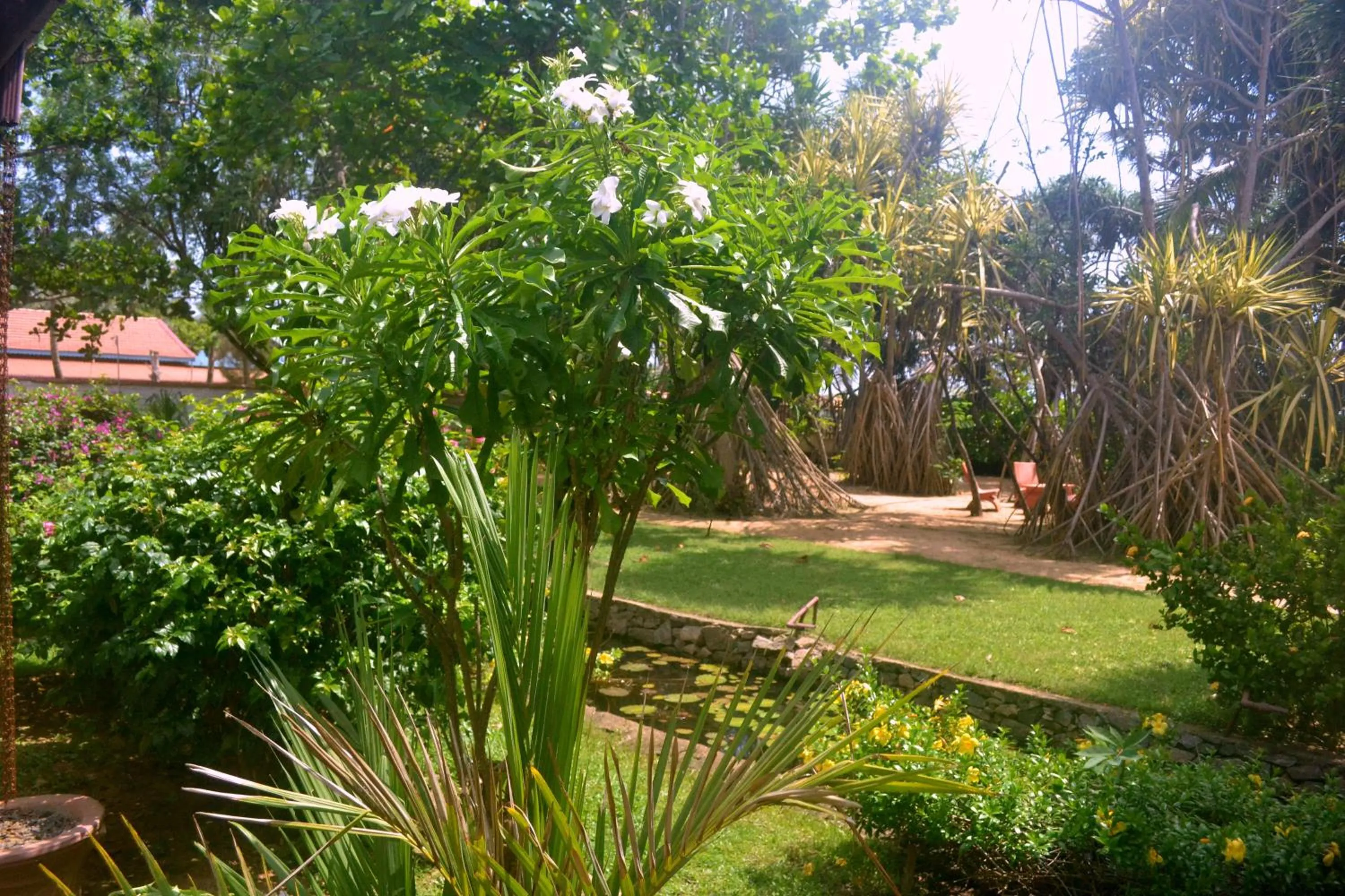 Garden in Puetz Travels Beach Resort