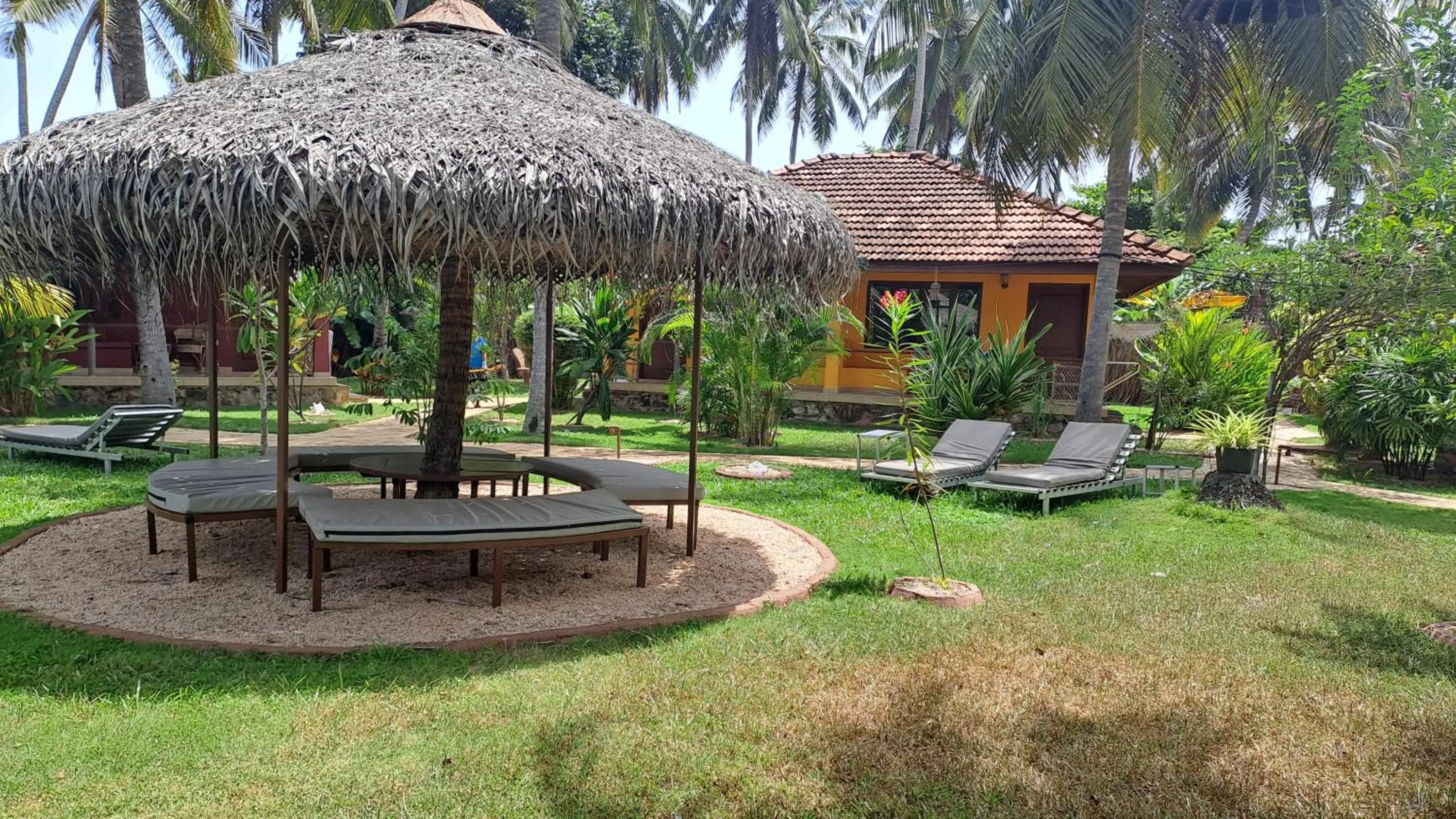 Garden in Puetz Travels Beach Resort