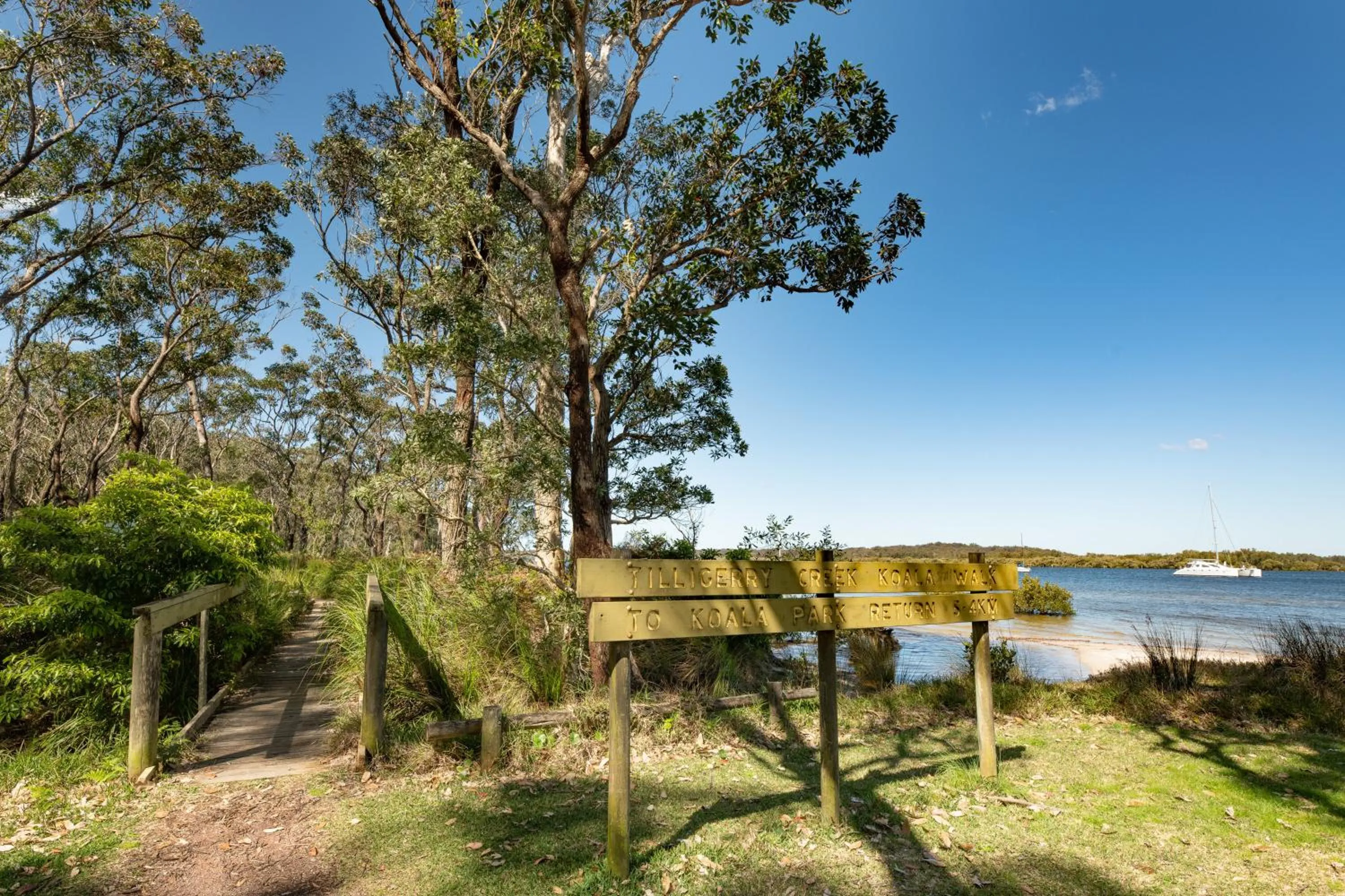 Hiking in Koala Shores Holiday Park