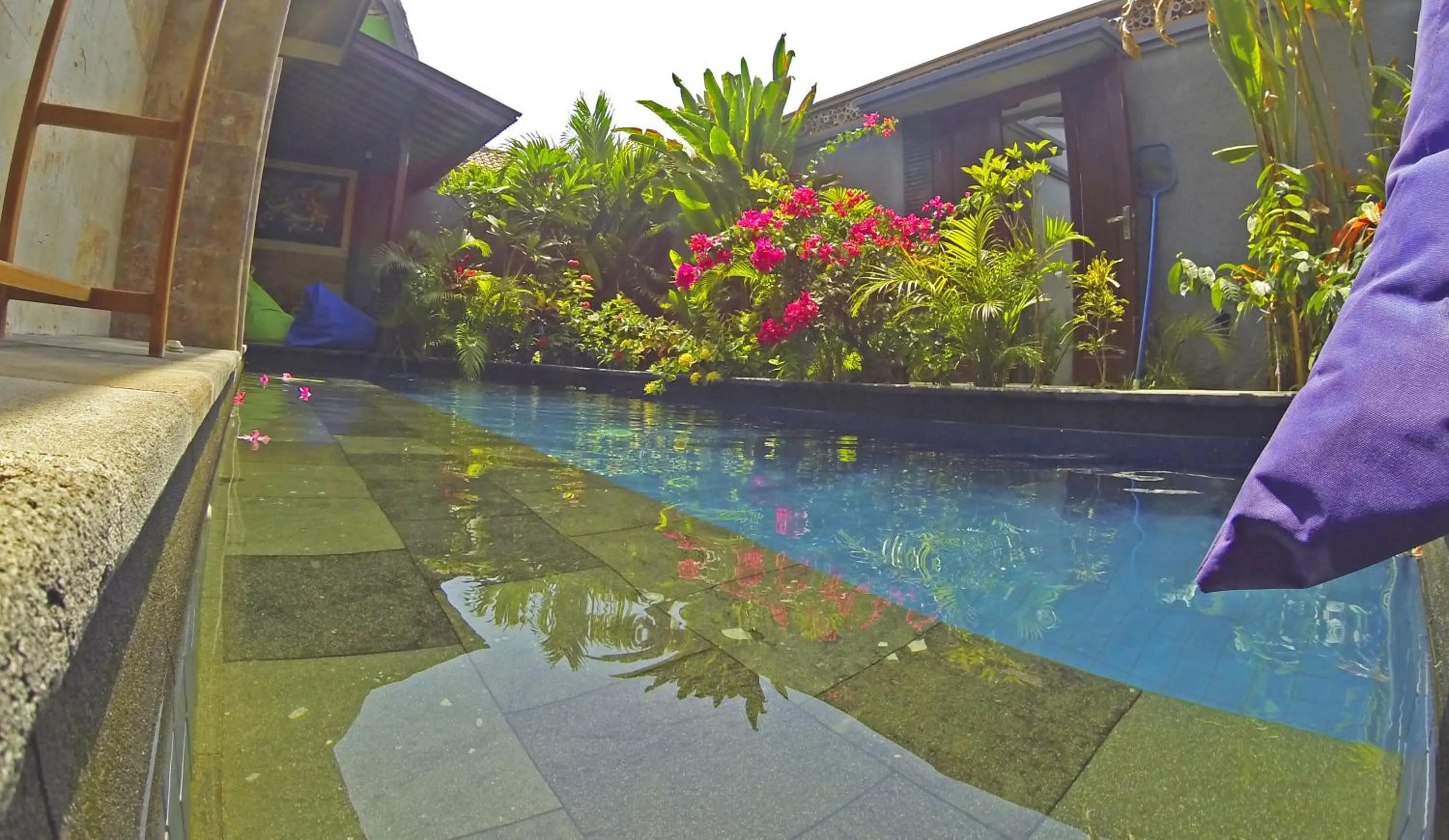 Swimming pool in Villa Sahabat