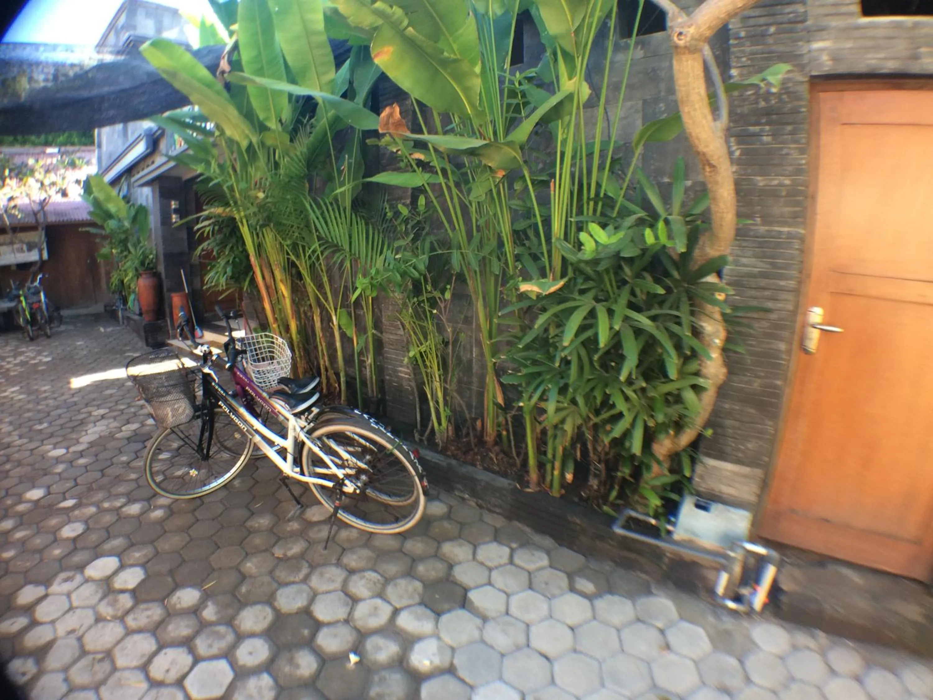 Off site in Villa Sahabat