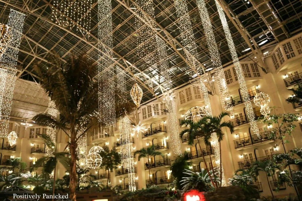 July Discount! Cottage Close to Downtown, Yard