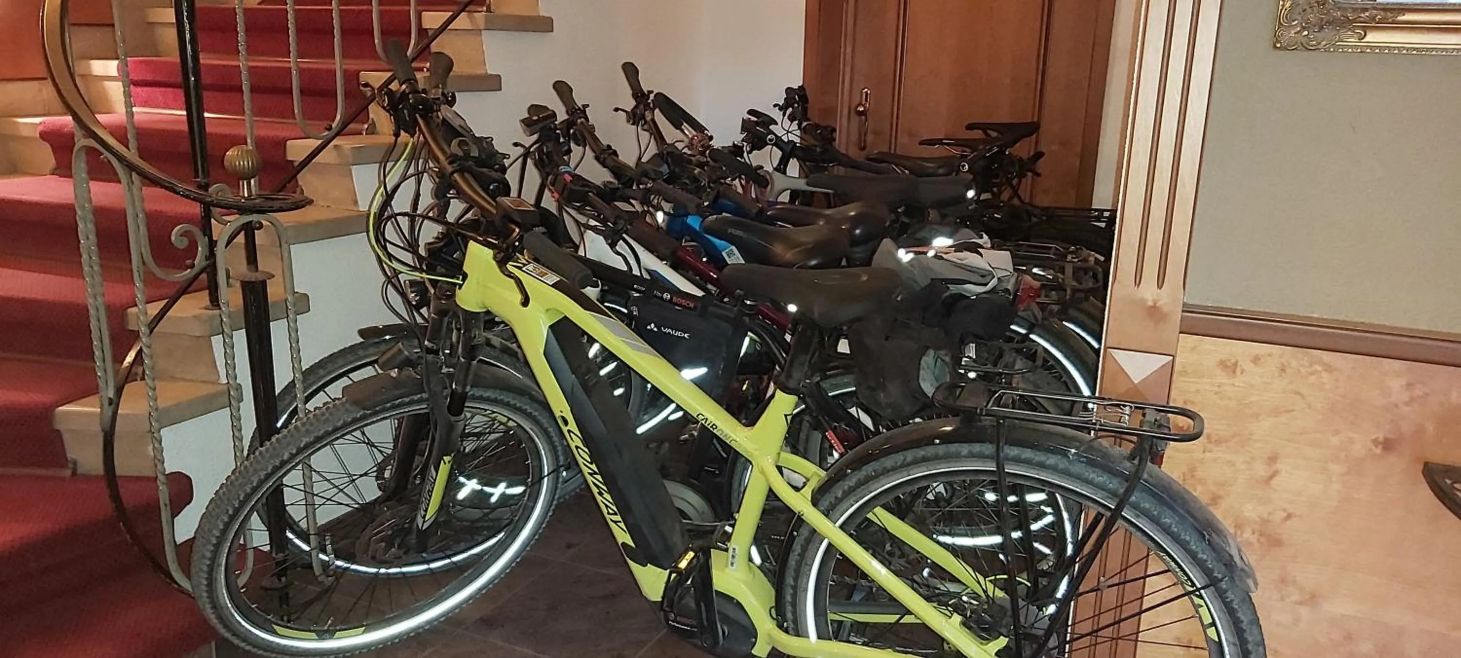 Cycling in Hotel Krone