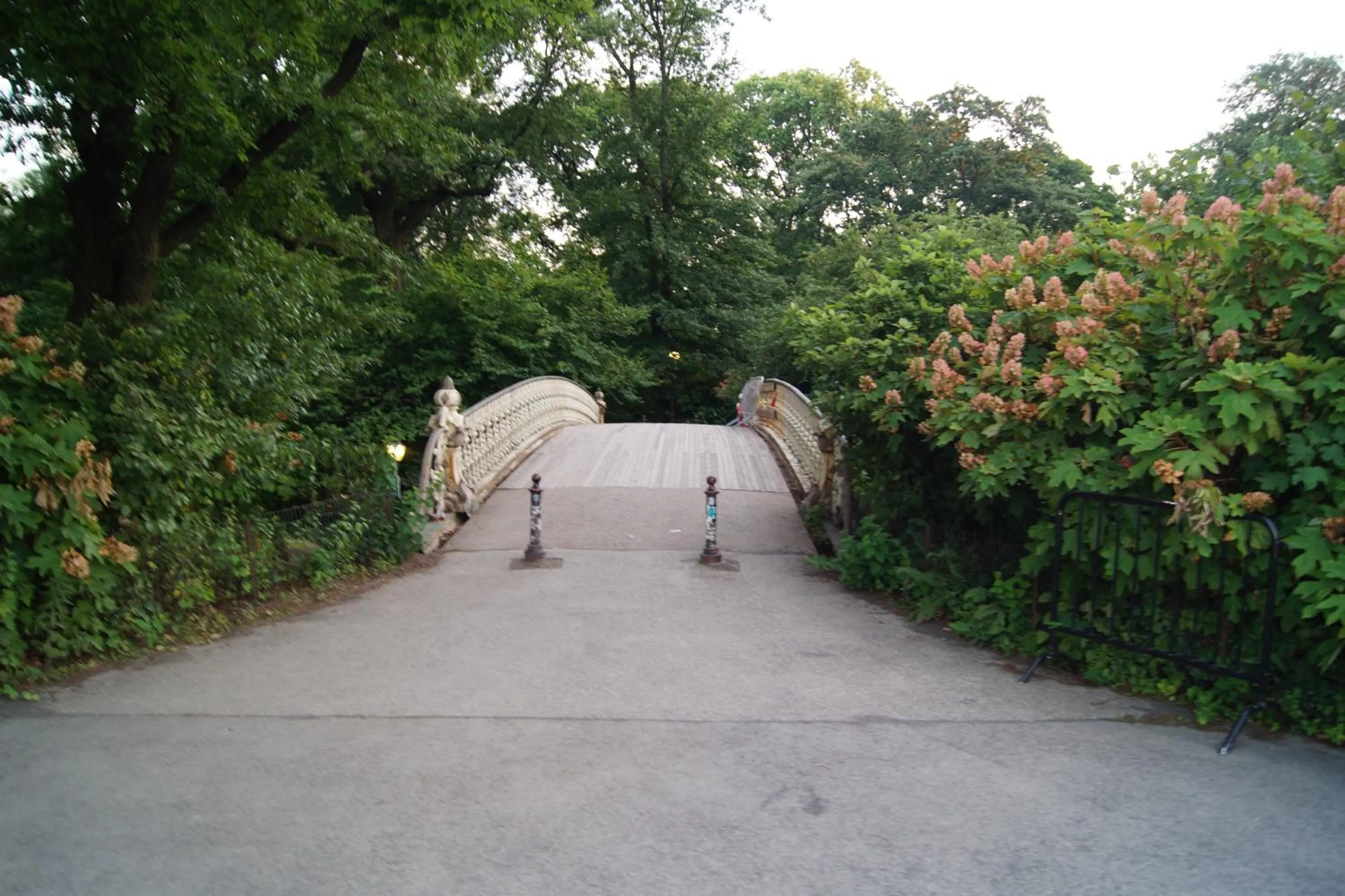 Hiking in Macaw Guest House