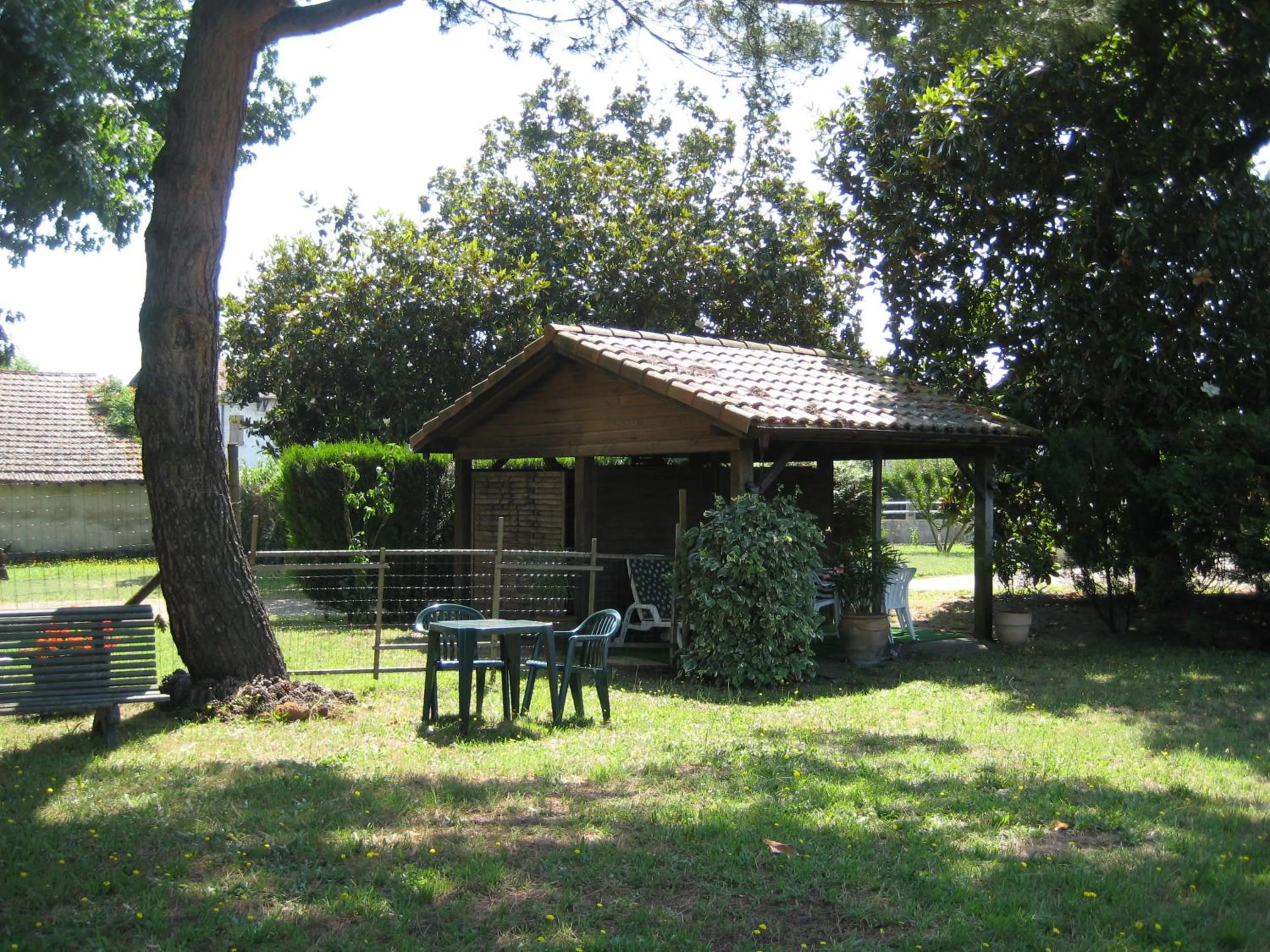 Garden in Hotel Bellevue de tradition familiale