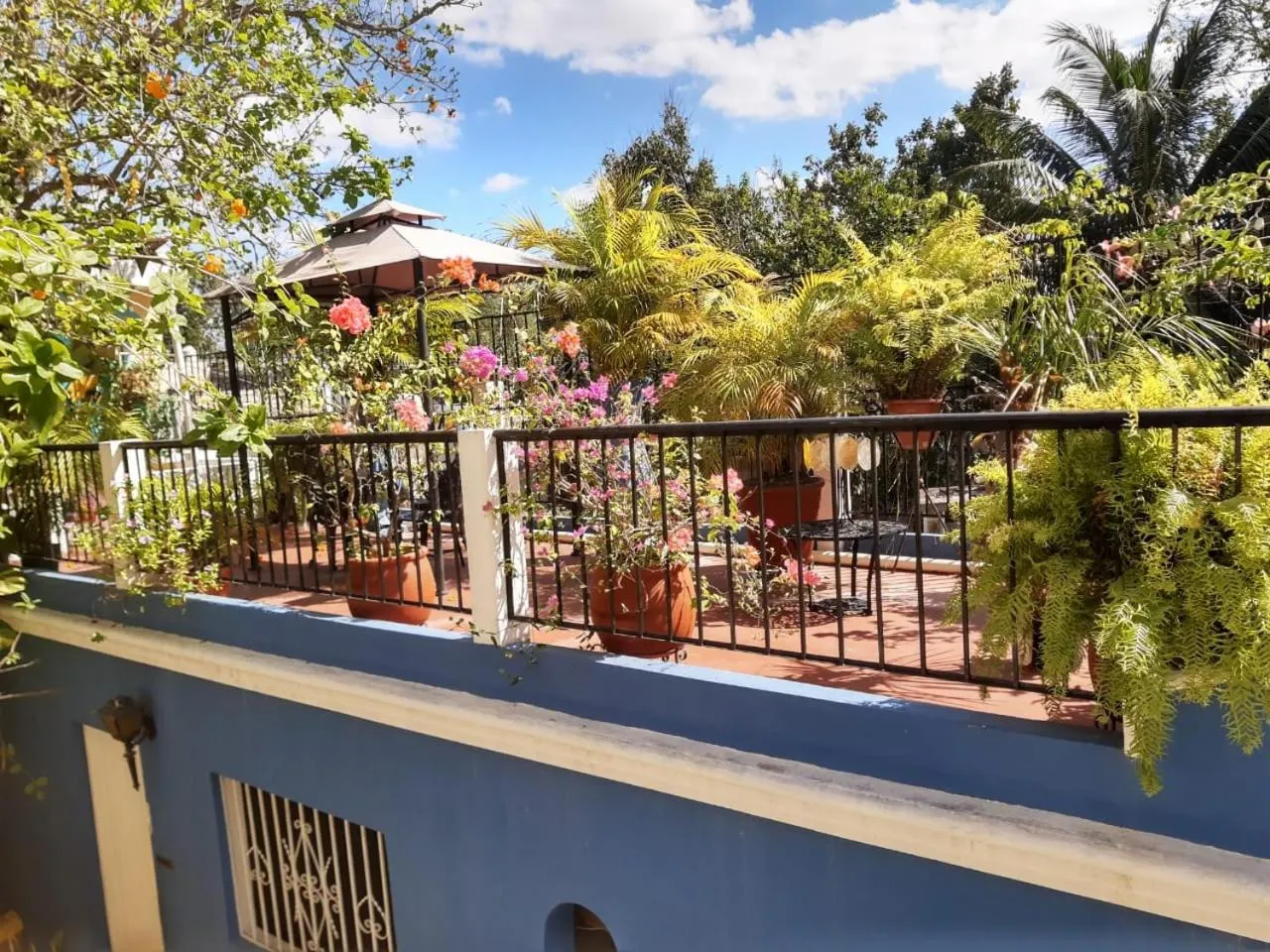 Balcony/Terrace in Palacio Canton Hotel - Valladolid