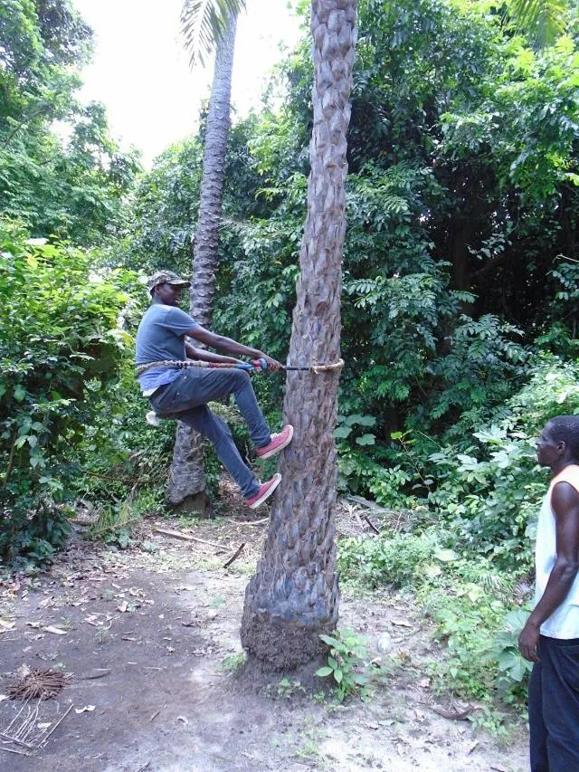 Activities in Ocean Villa Heights