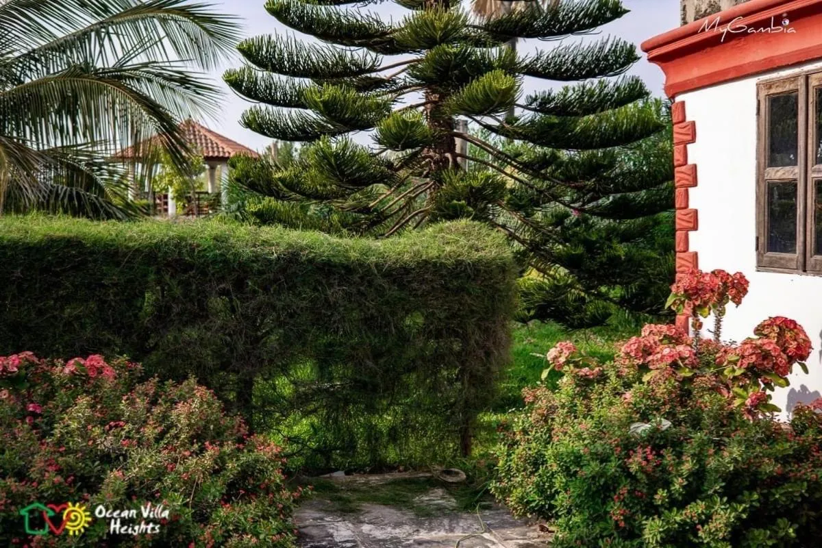 Natural landscape in Ocean Villa Heights