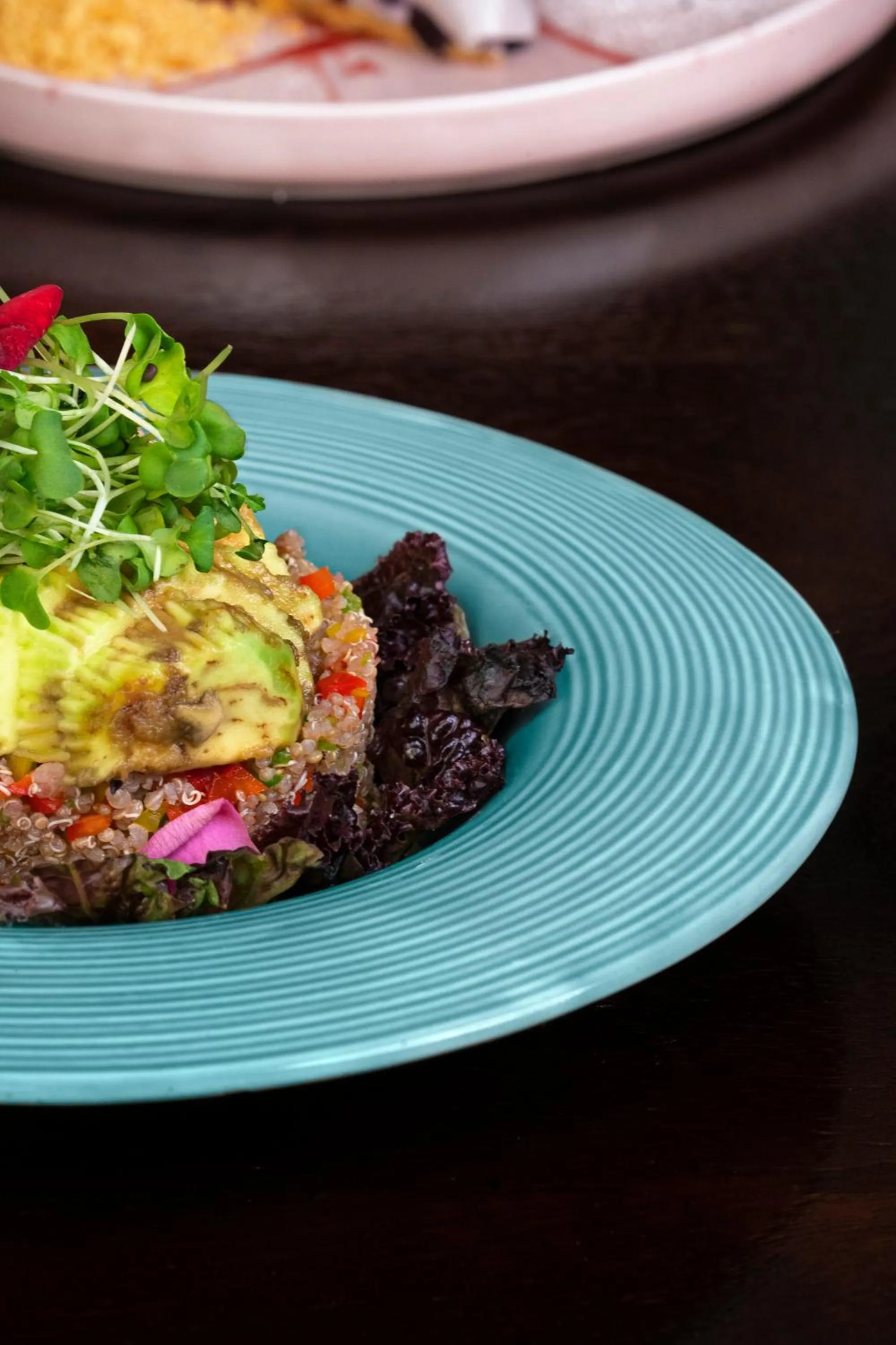 Restaurant/places to eat in Brij Anayra Dharamshala - A Himalayan Luxury Retreat