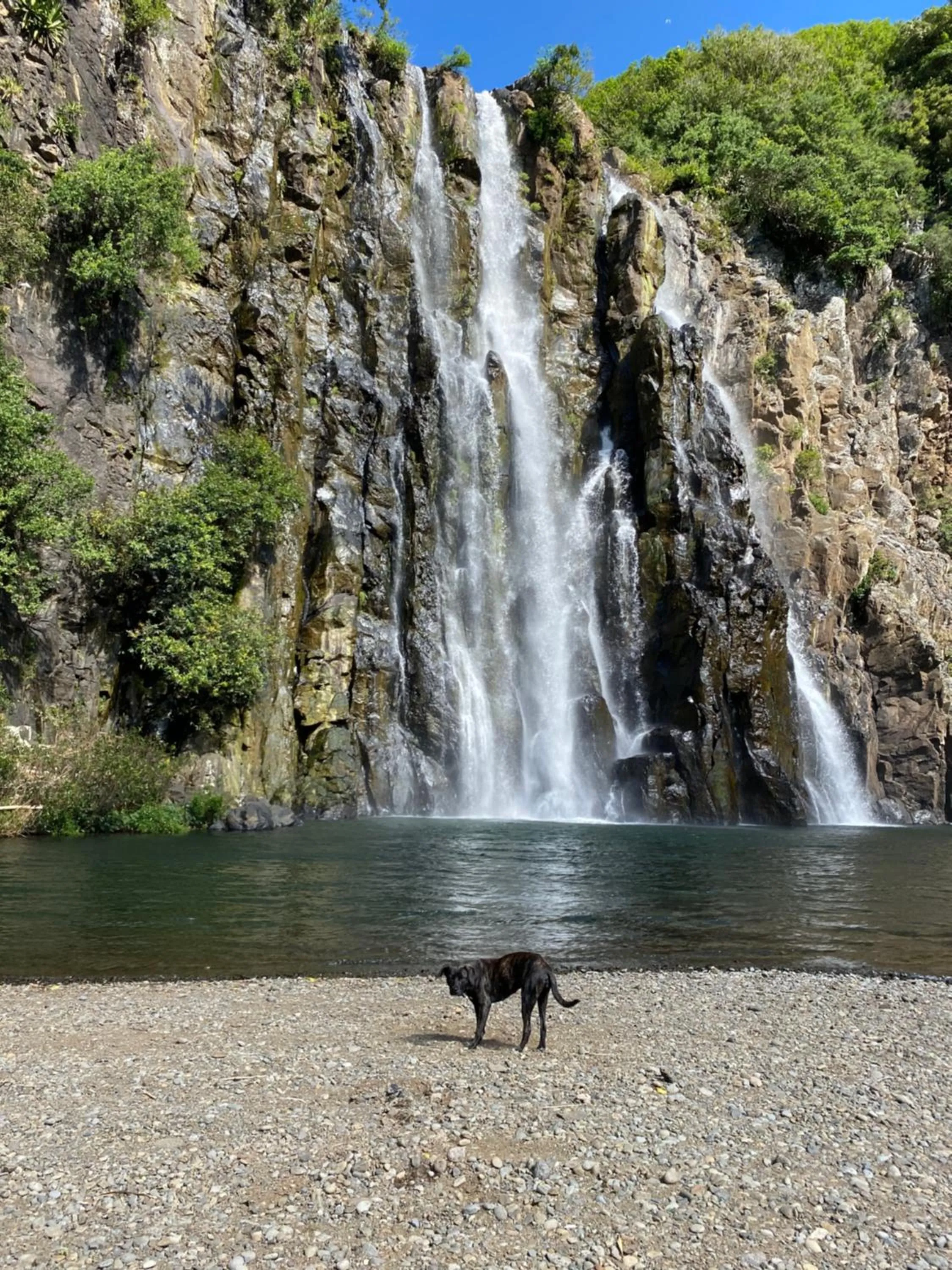 Nearby landmark in Hotel De la Plage