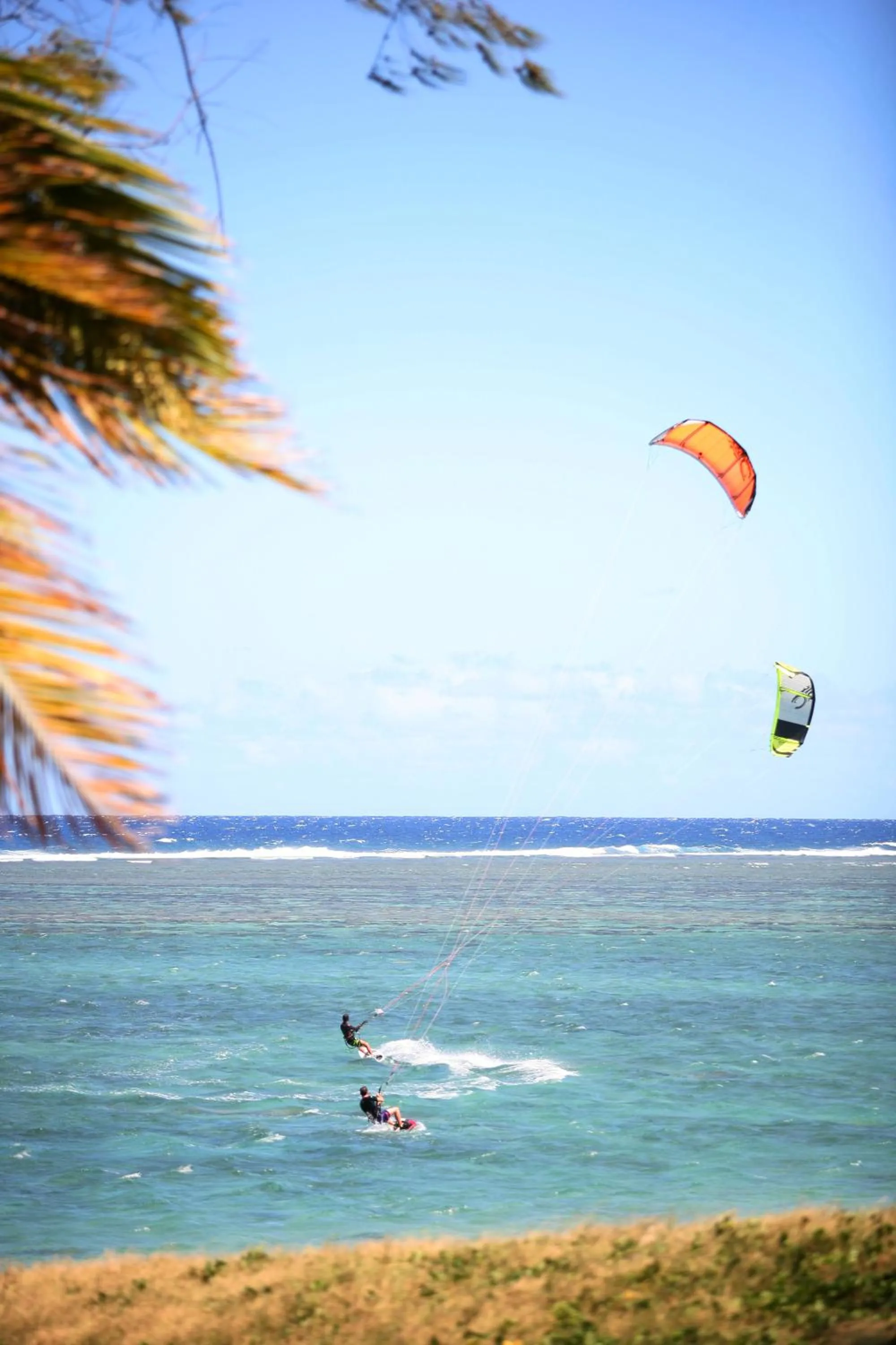 Activities in Hotel De la Plage