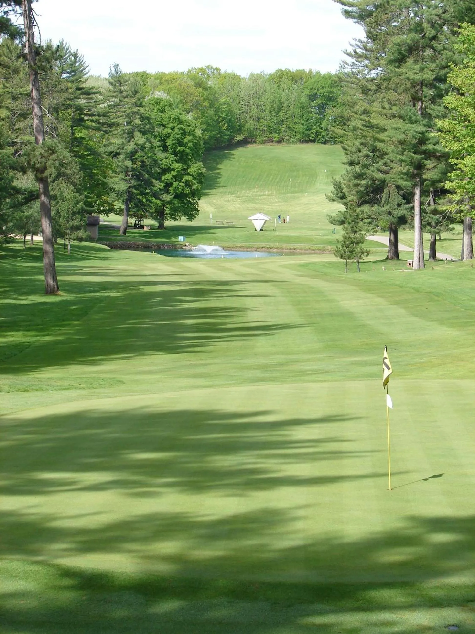 Golfcourse in TownePlace Suites by Marriott Iron Mountain