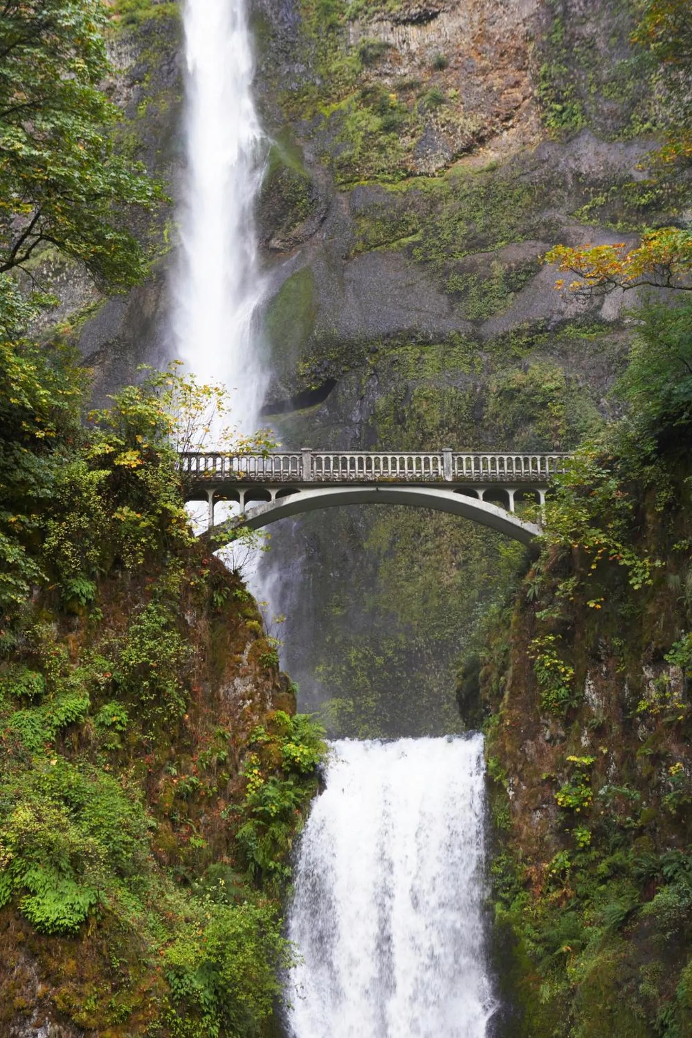 Hiking in TownePlace Suites by Marriott Iron Mountain