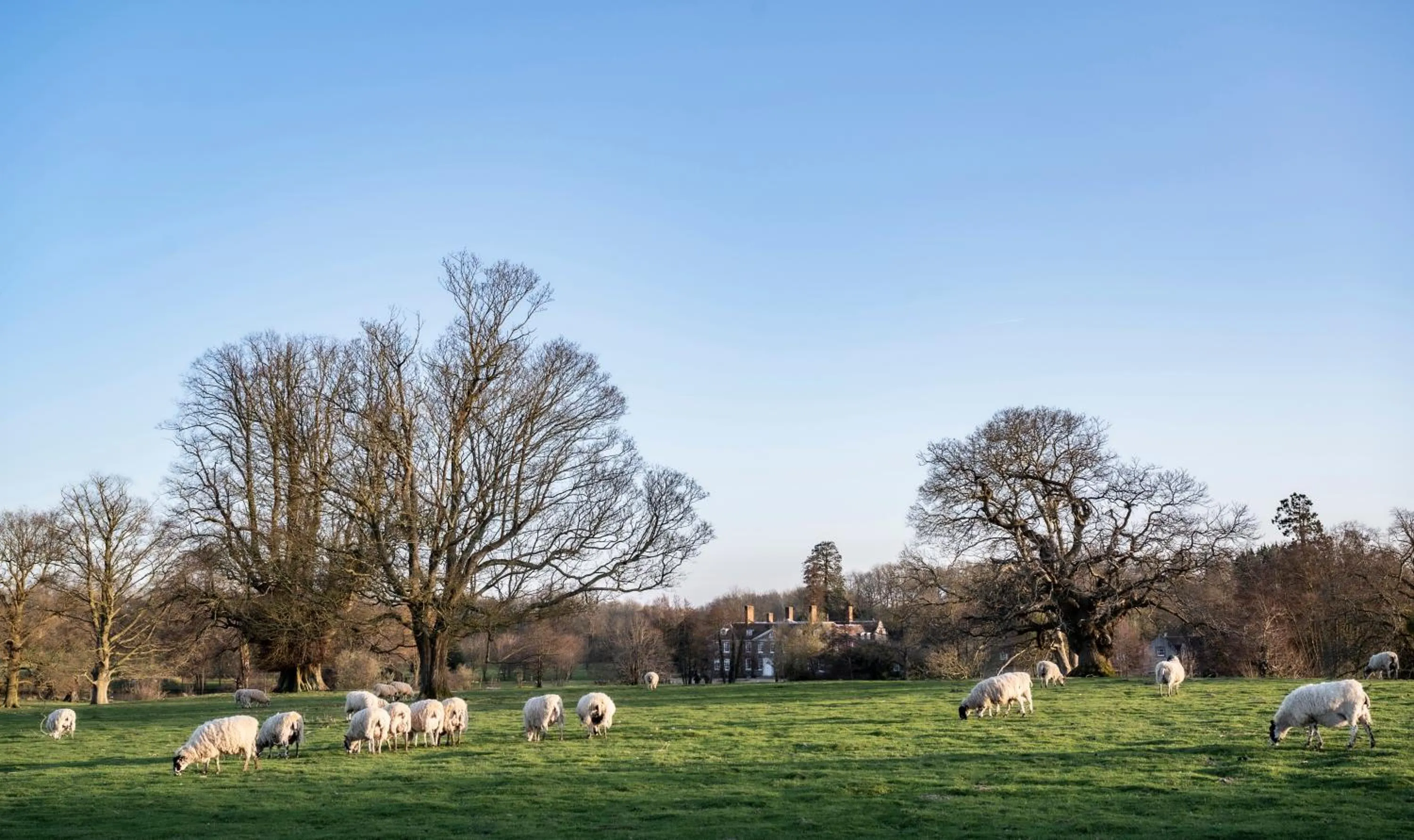 Spring in Chilston Park Hotel