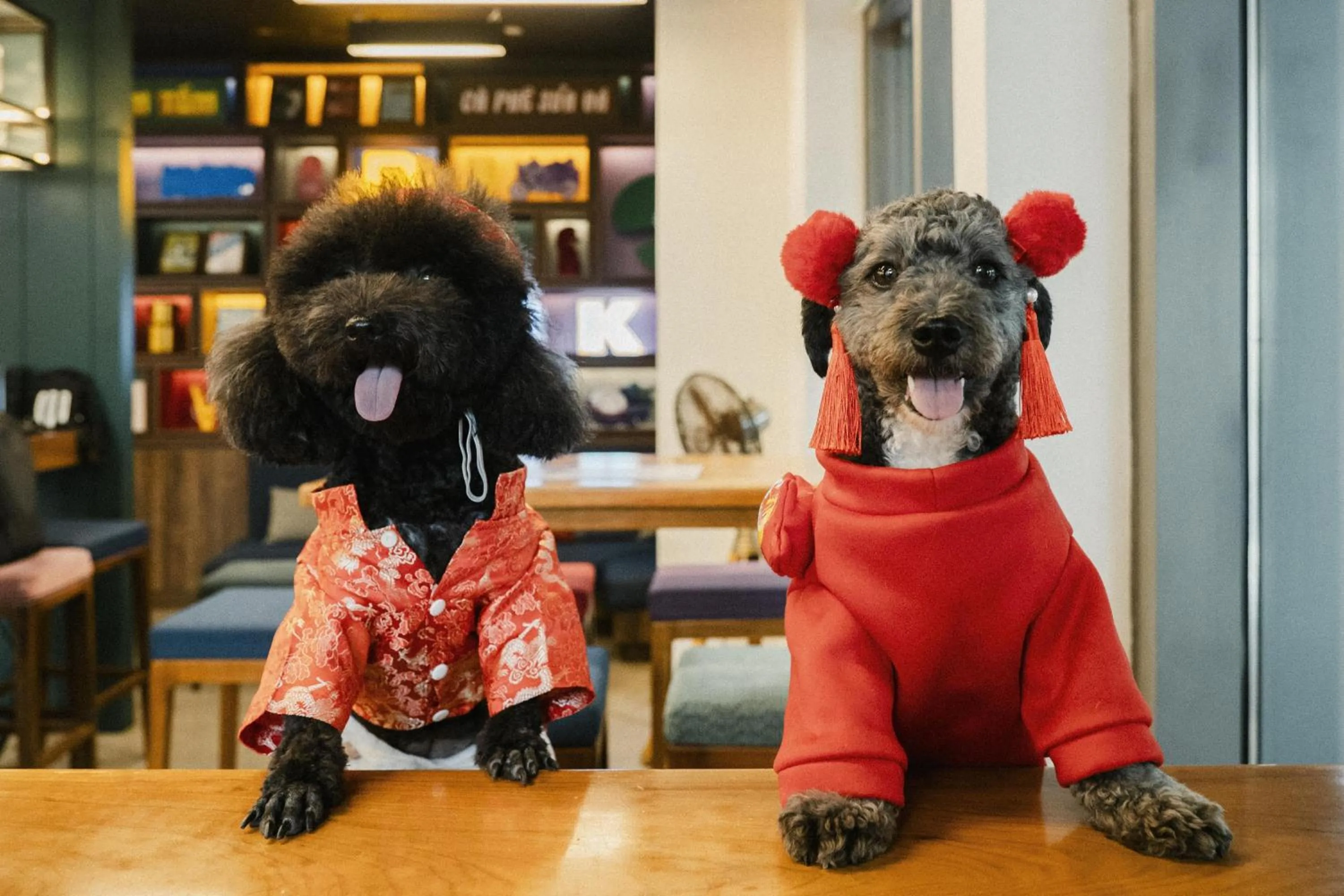 Lobby or reception in Wink Tuy Hoa Beach, Unscripted by Hyatt - 24 Hours stay