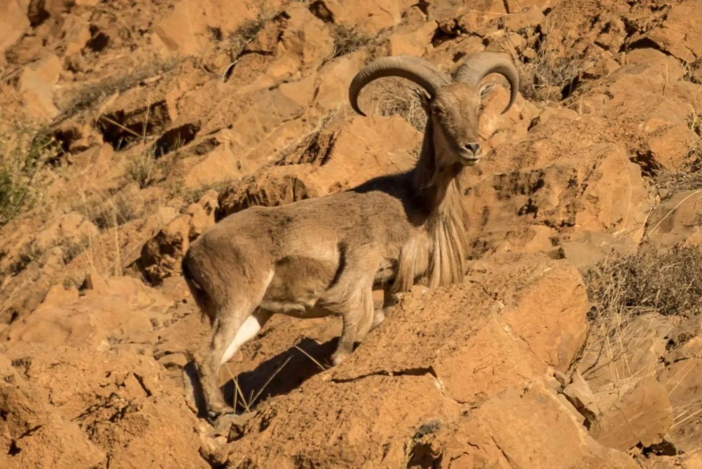 Day in Auberge La Fibule Du Dades