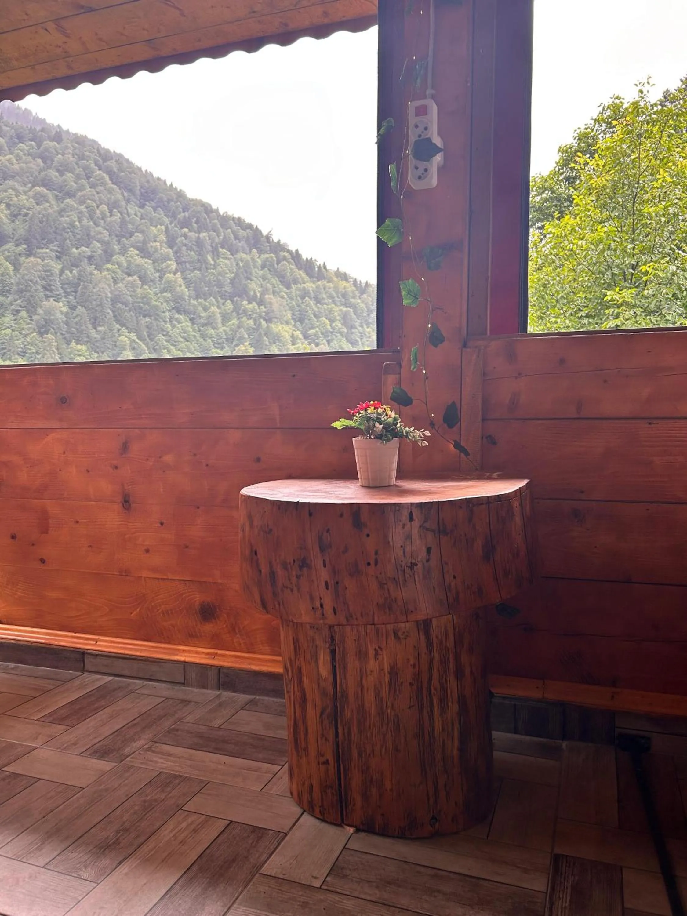 Meydan Şelale Dağ Evi