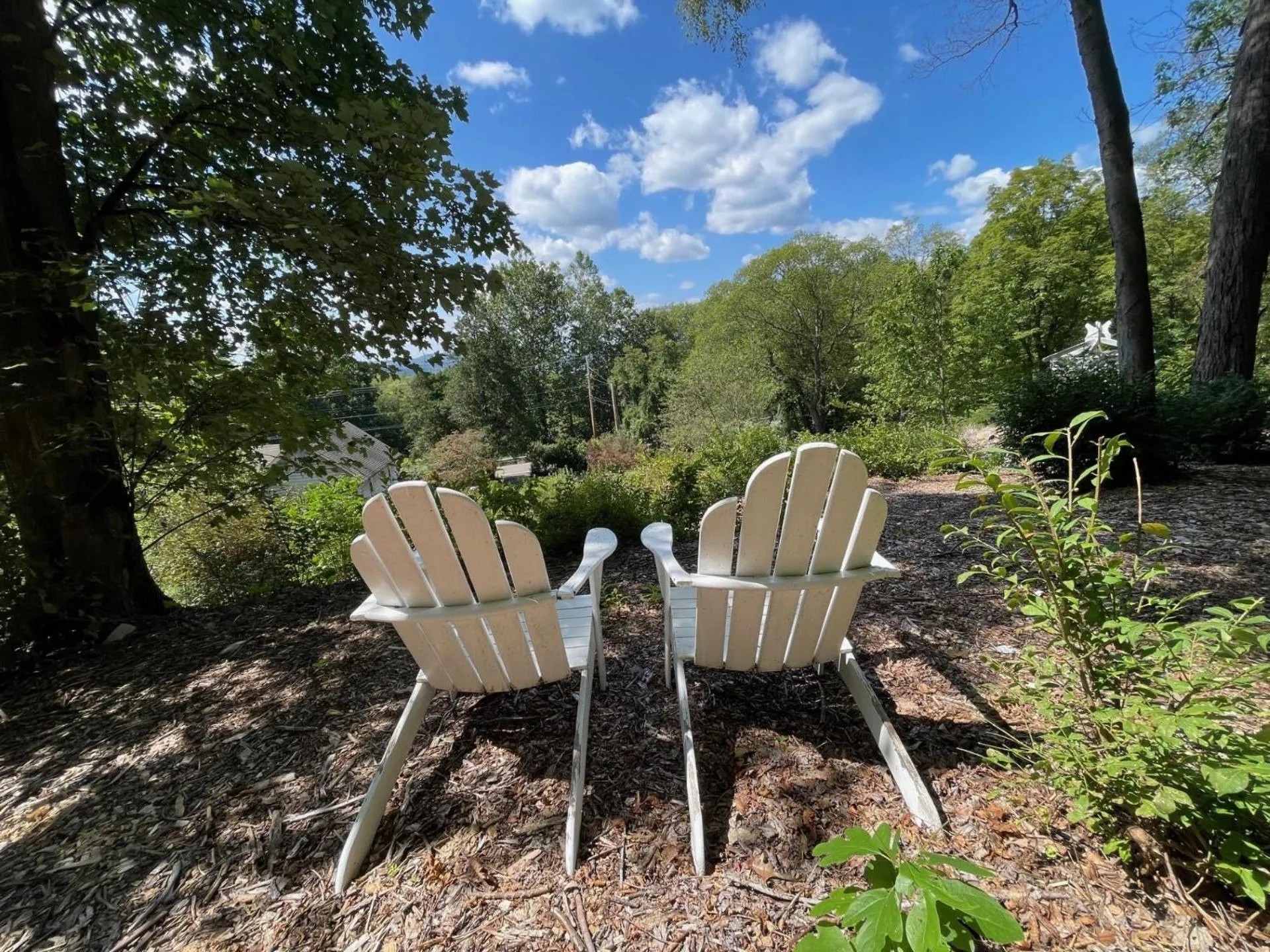 Garden in Beacon Hermitage