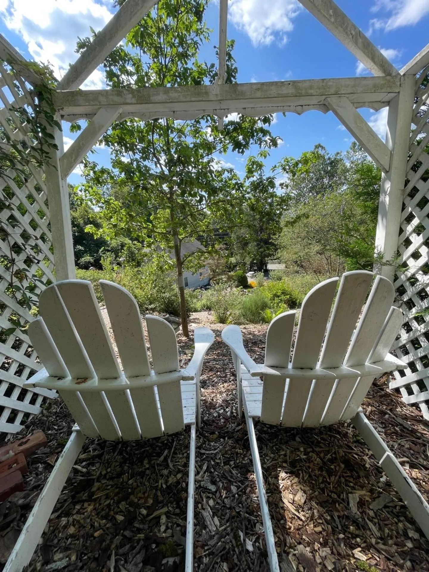 Garden in Beacon Hermitage