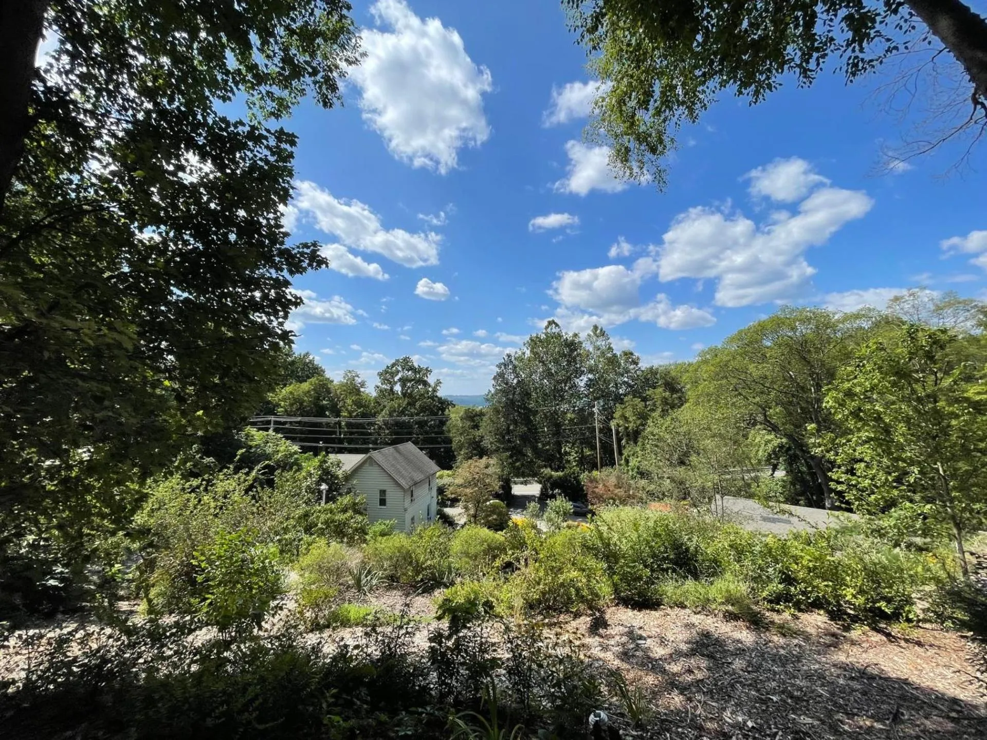 Garden in Beacon Hermitage