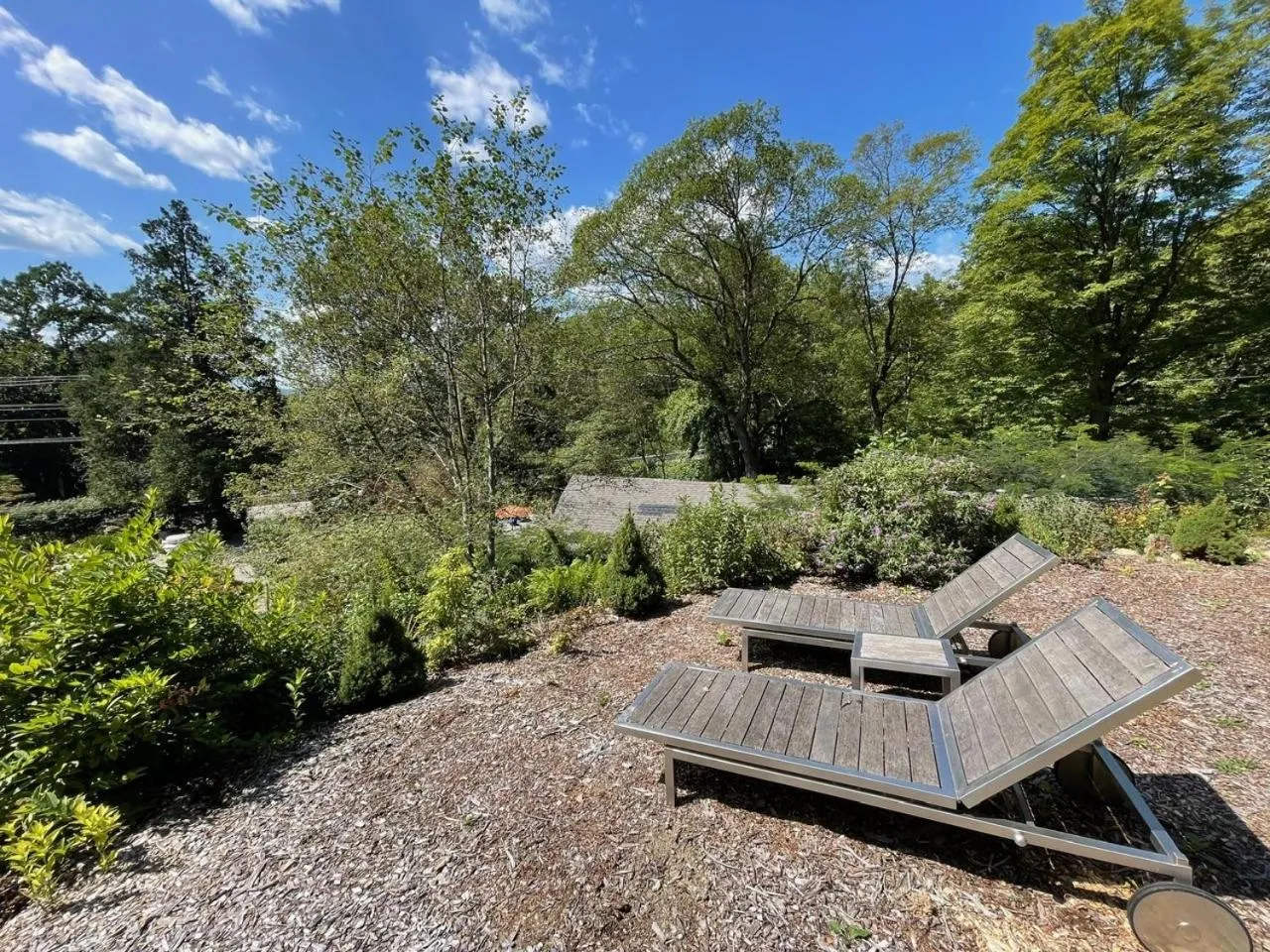 Garden in Beacon Hermitage