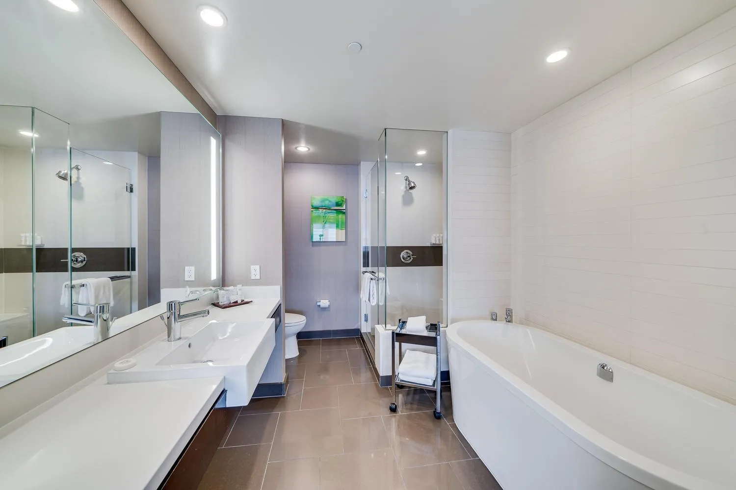 Jet Luxury at The Vdara