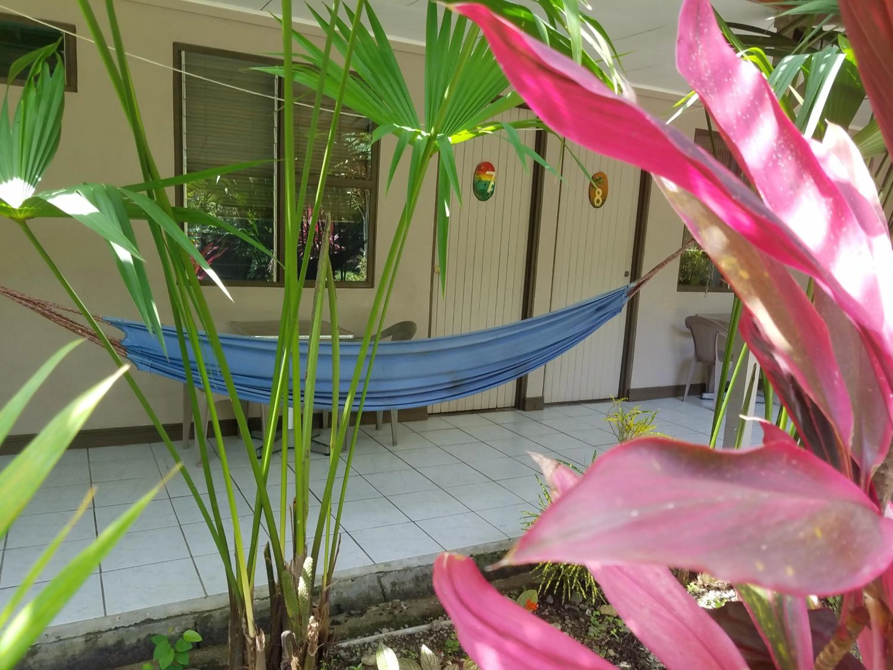 Patio in Hotel El Colibri Rojo