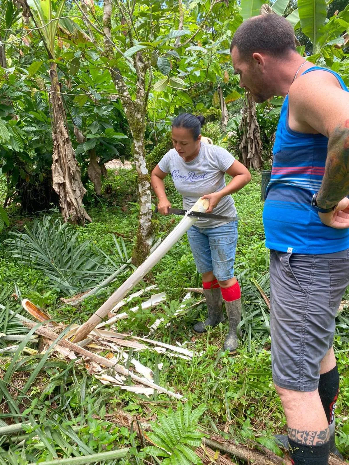 Activities in Hotel El Colibri Rojo