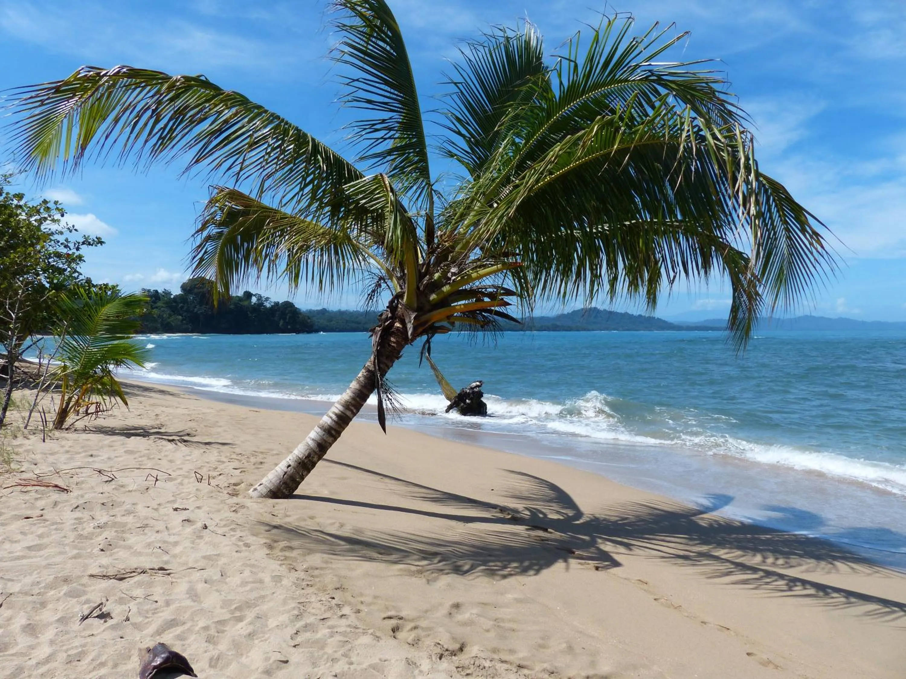 Beach in Hotel El Colibri Rojo