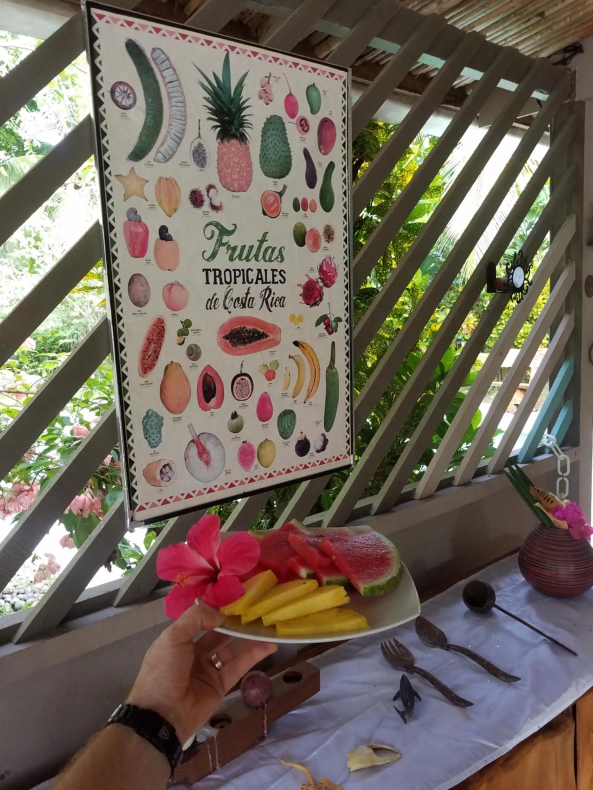 Food in Hotel El Colibri Rojo