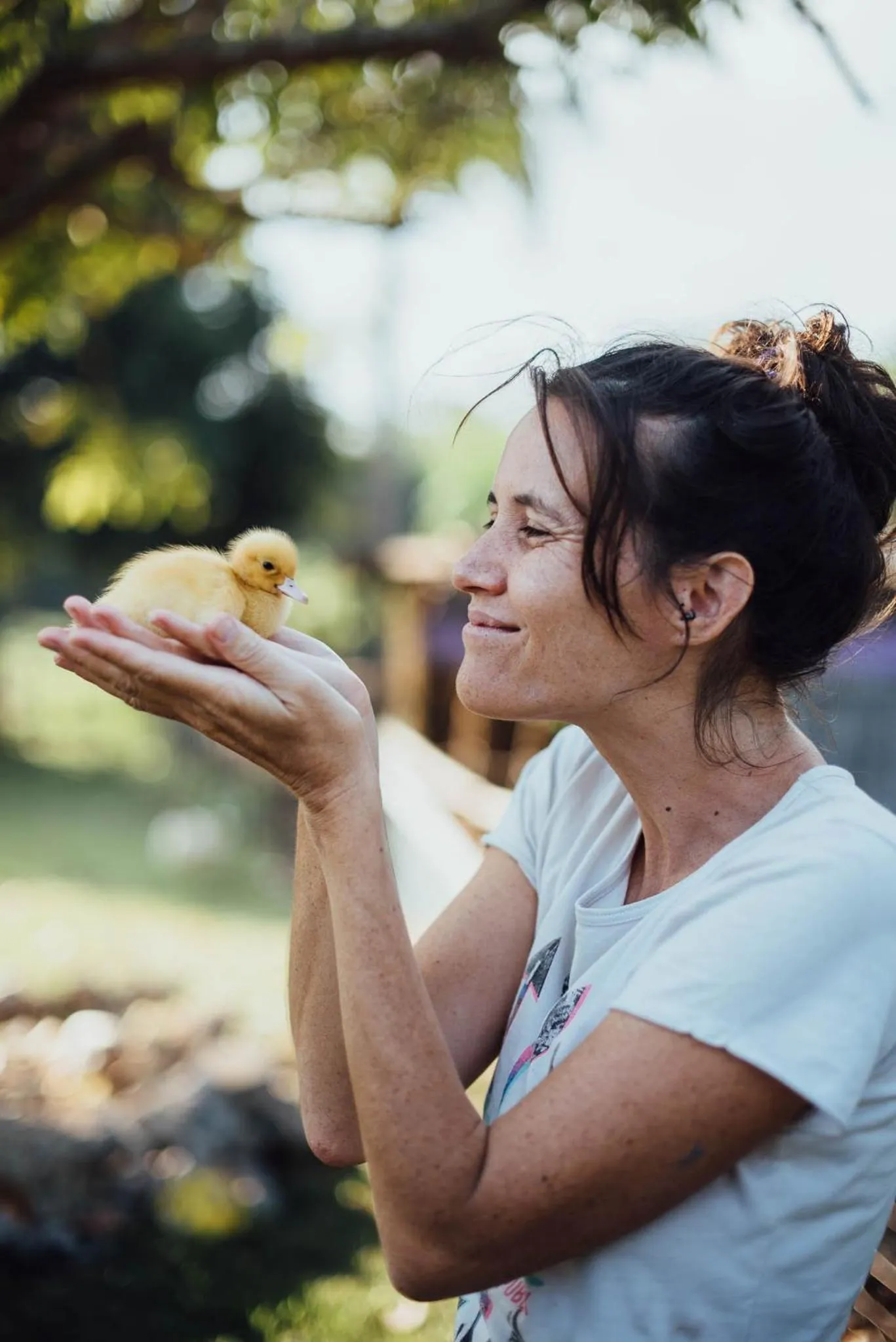 Animals in Le Life Resort