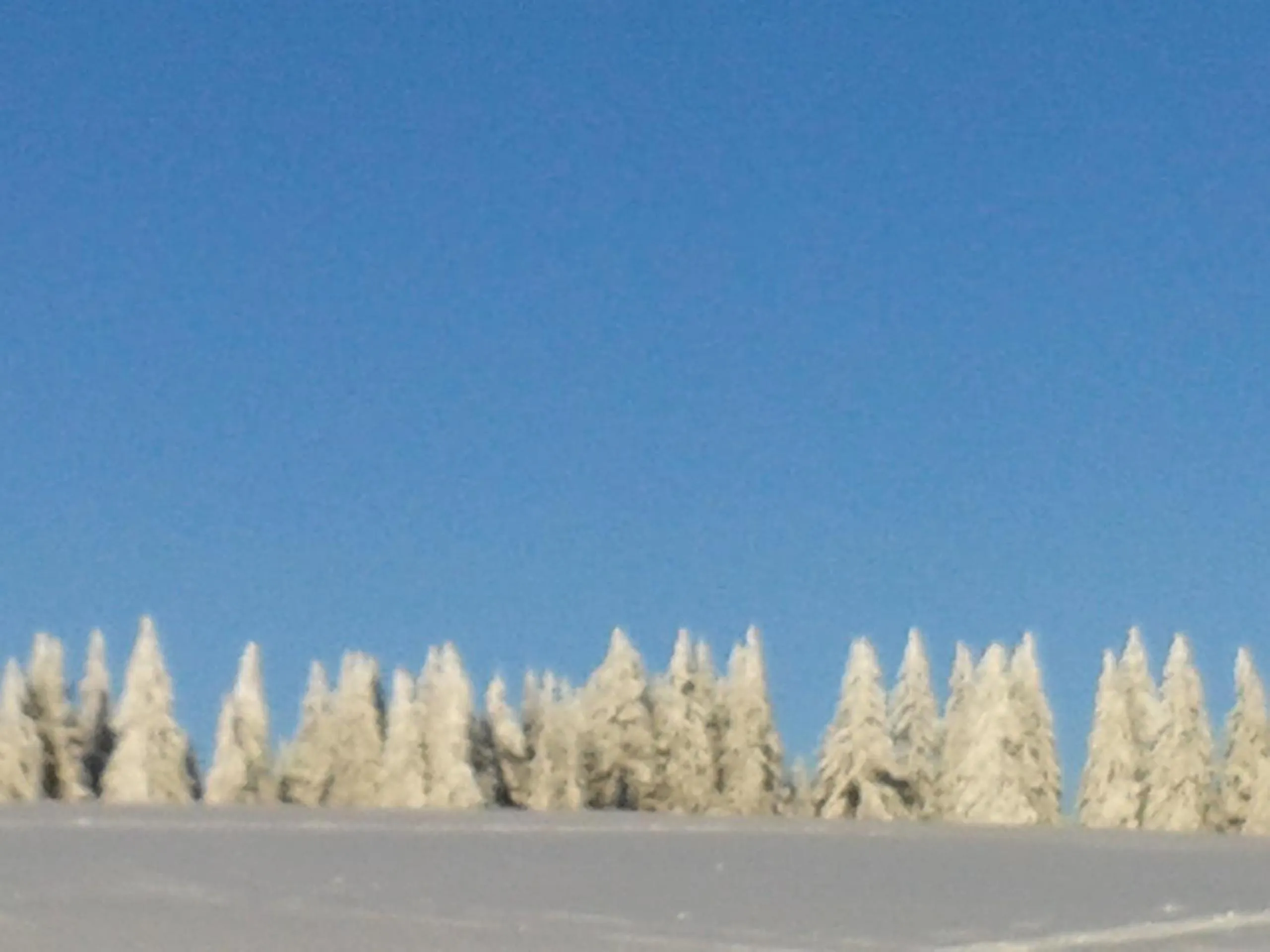 Other, Winter in Hotel Sternen - Anno 1769