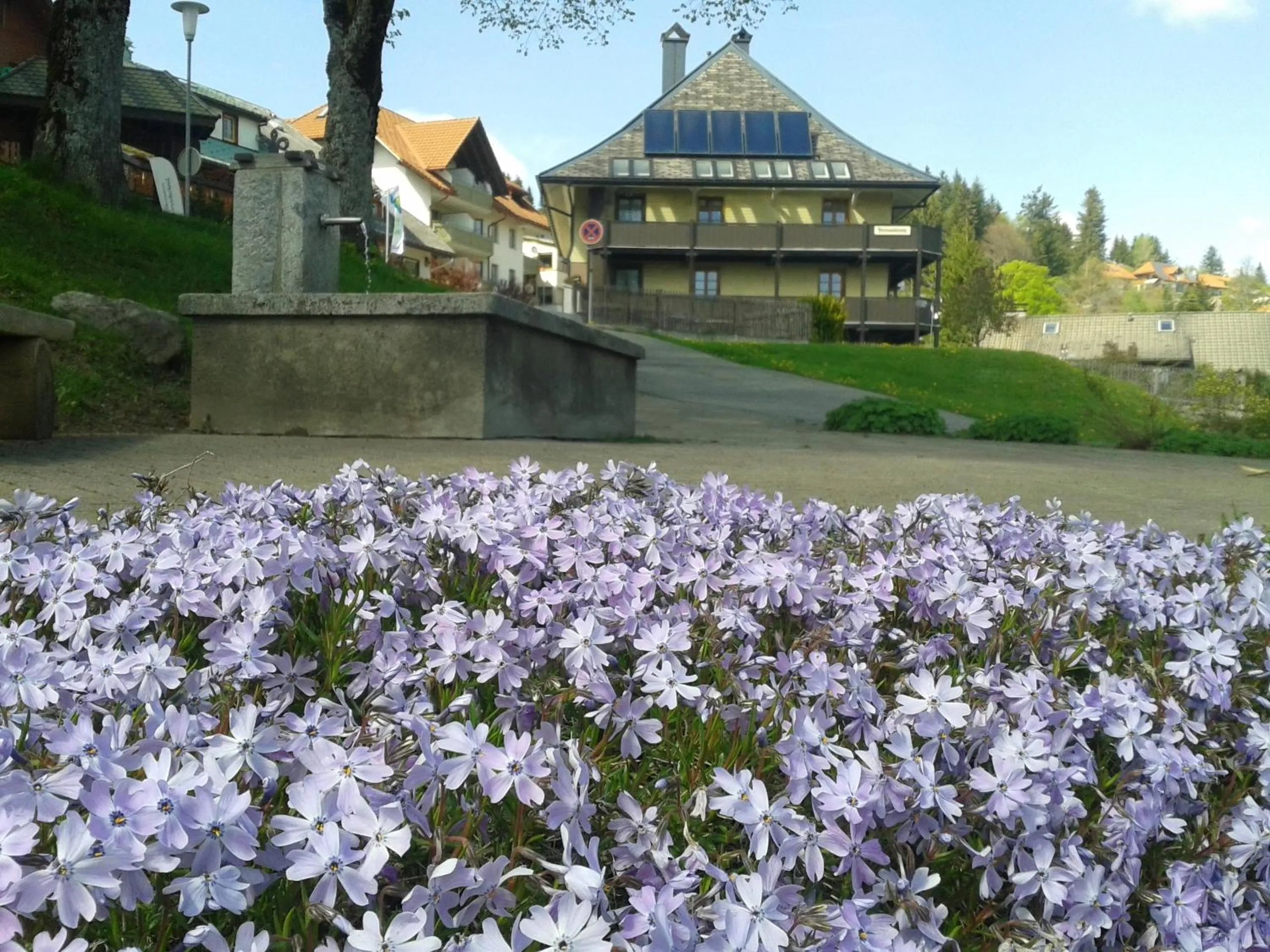 Property Building in Hotel Sternen - Anno 1769