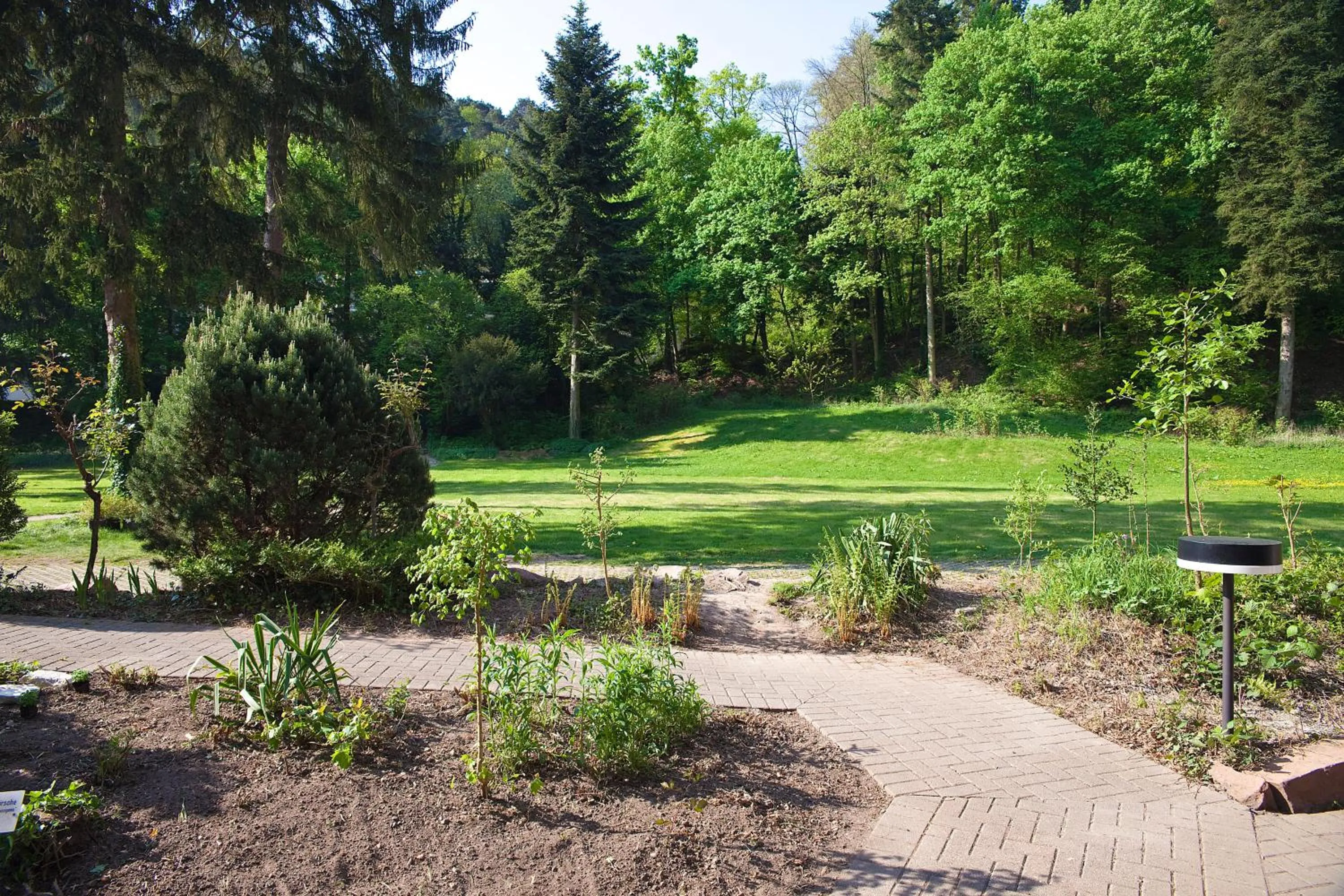 Garden in Hotel Luisenpark