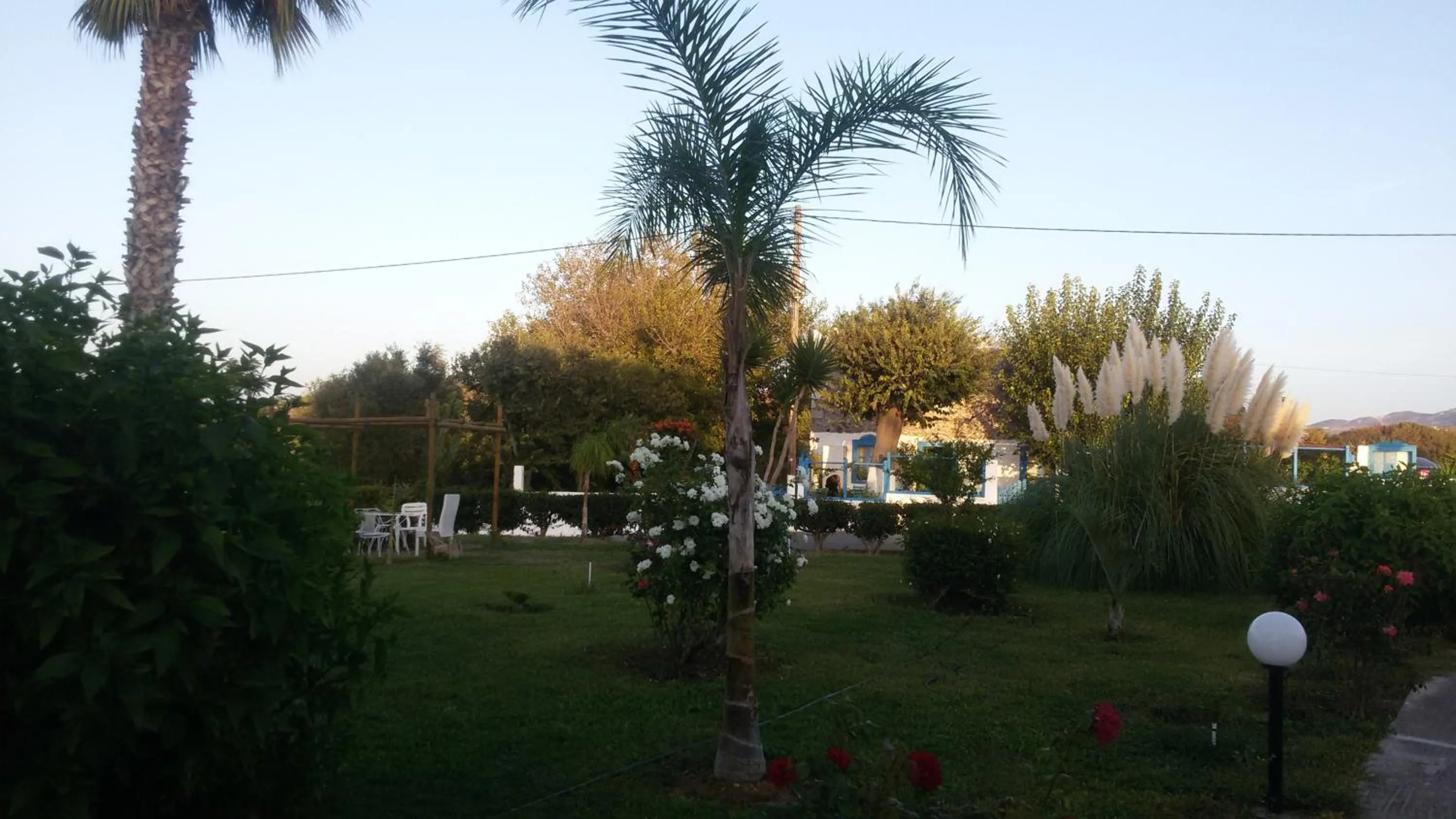 Garden in Eftihia Apartments